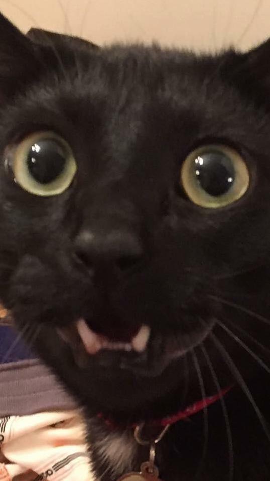 He Has Seen Things He Cant Unsee.