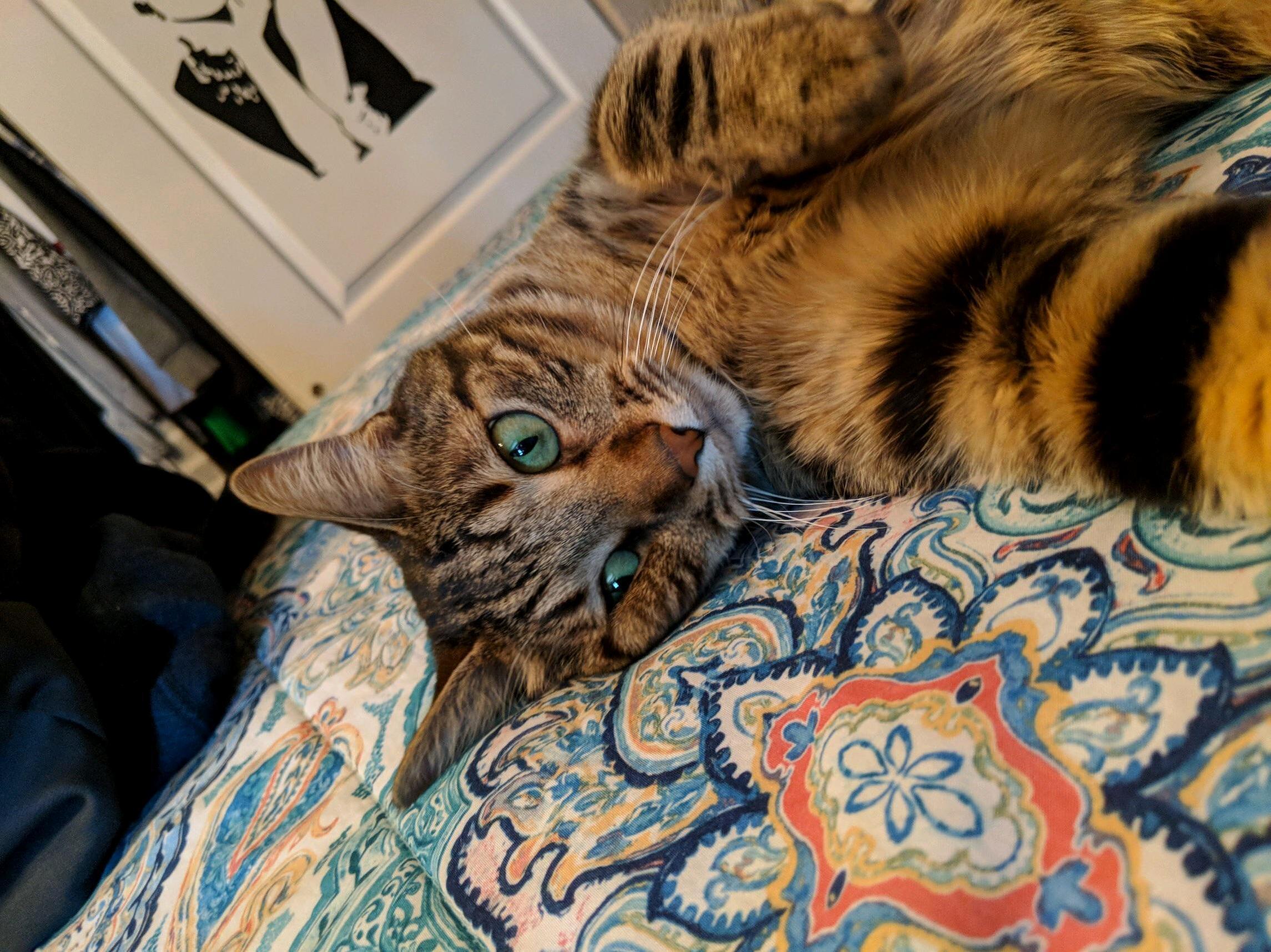 He Is Feeling Himself This Morning.
