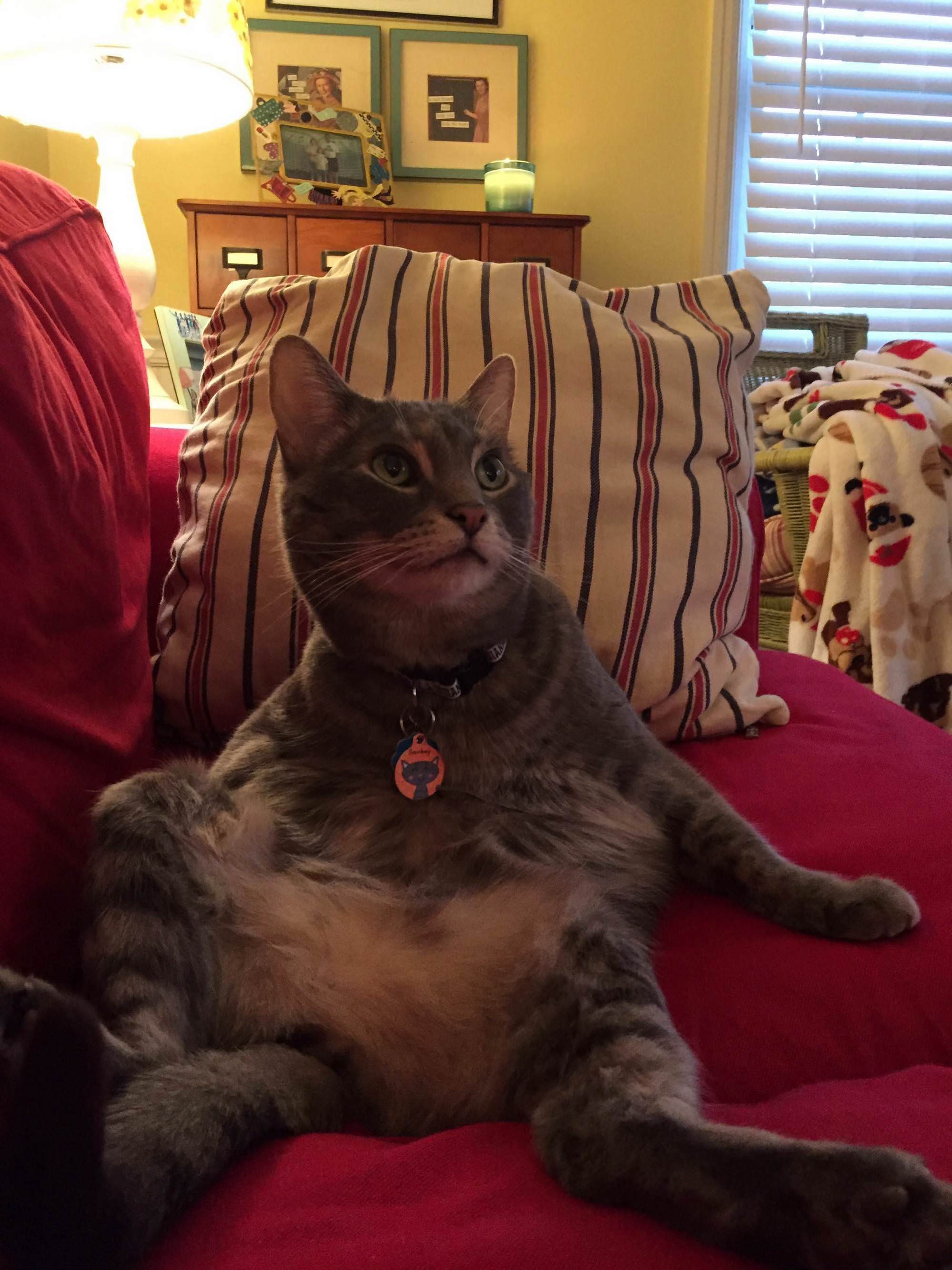 He Thinks He Is a People!