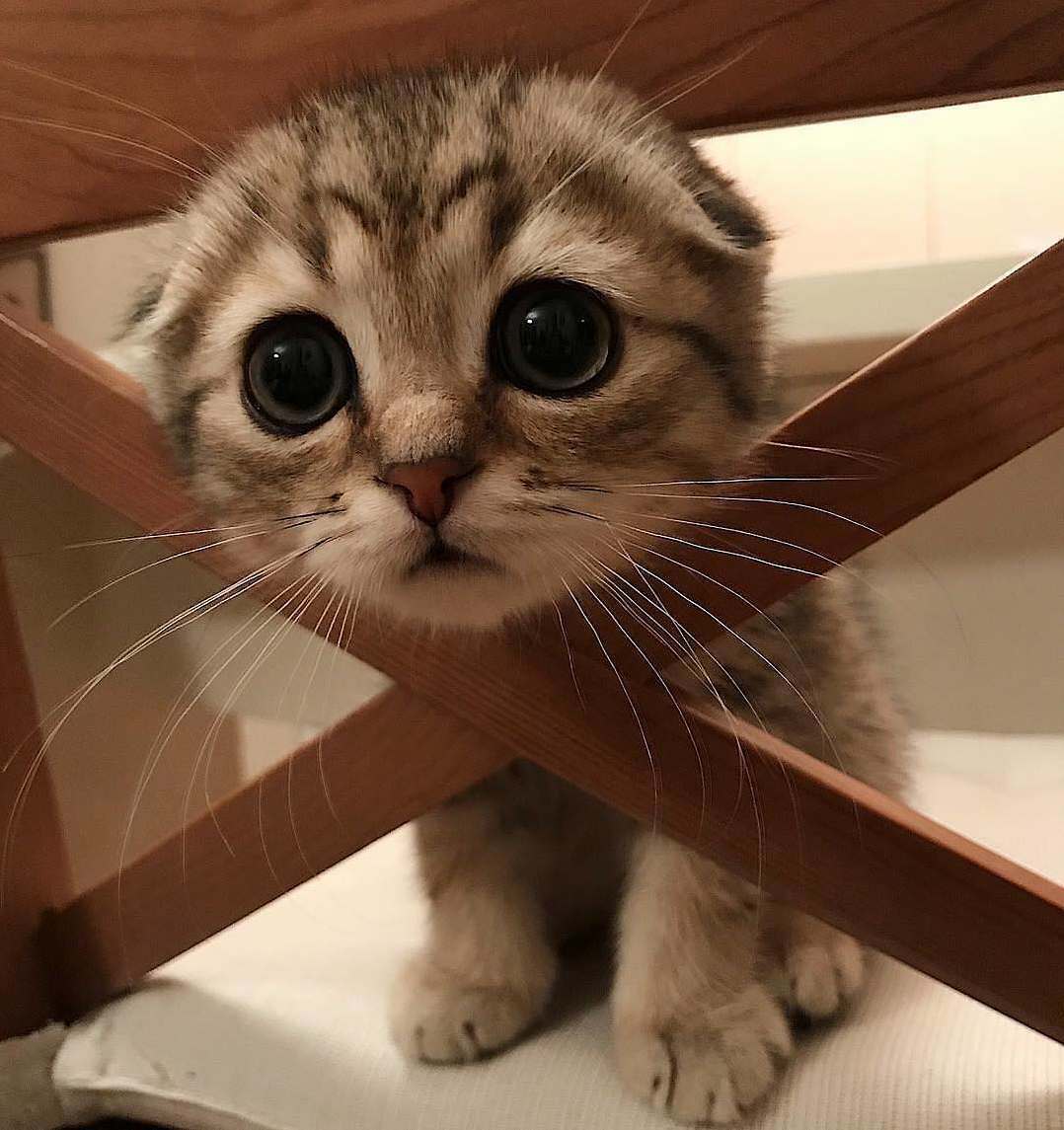 Help Me! Im Stuck