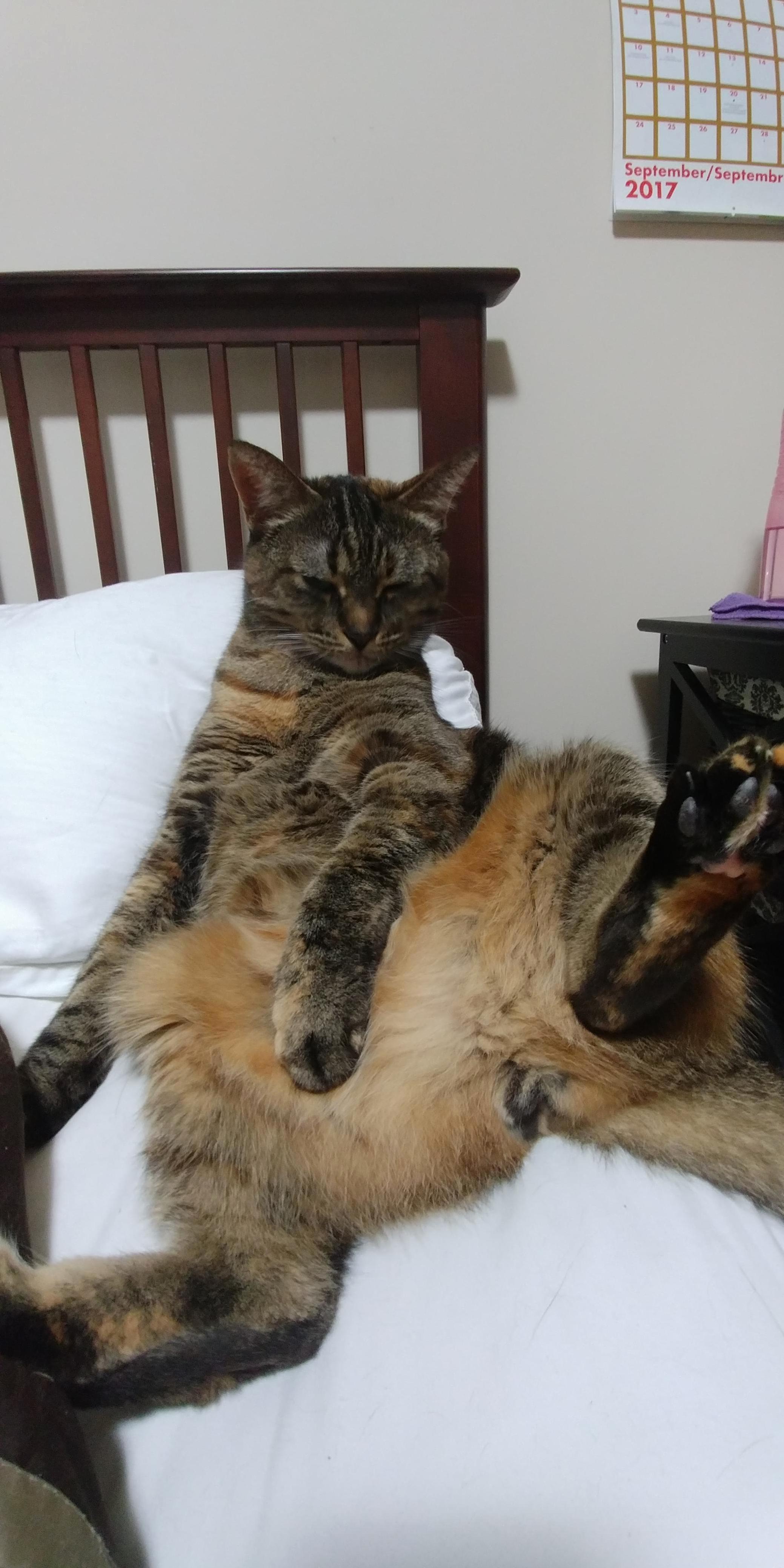 Here Is Alex Being Oh So Very Lady Like