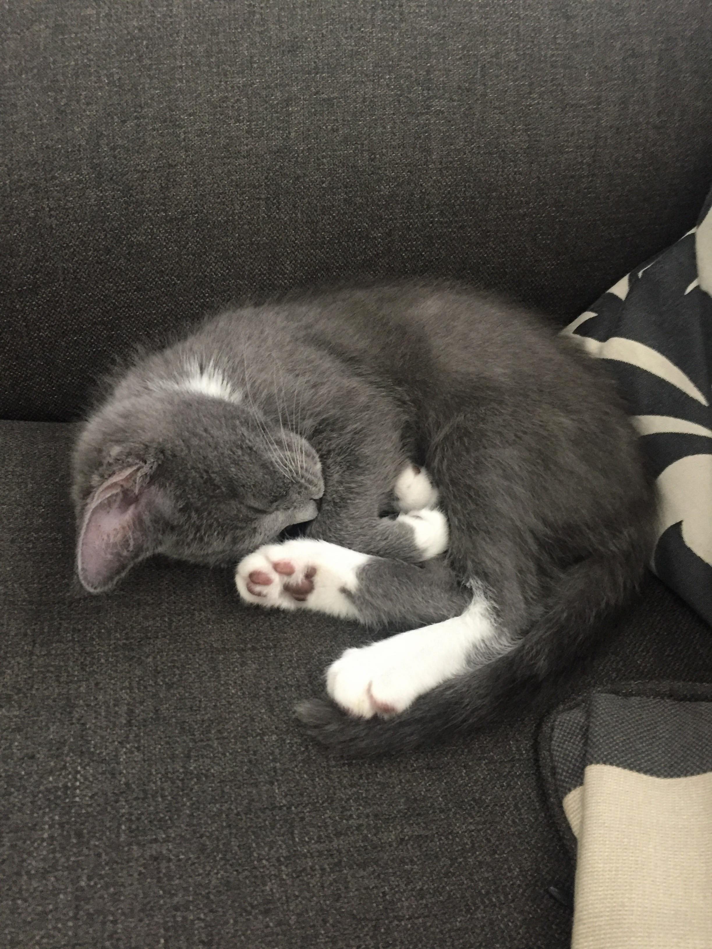 Hes All About His Rest