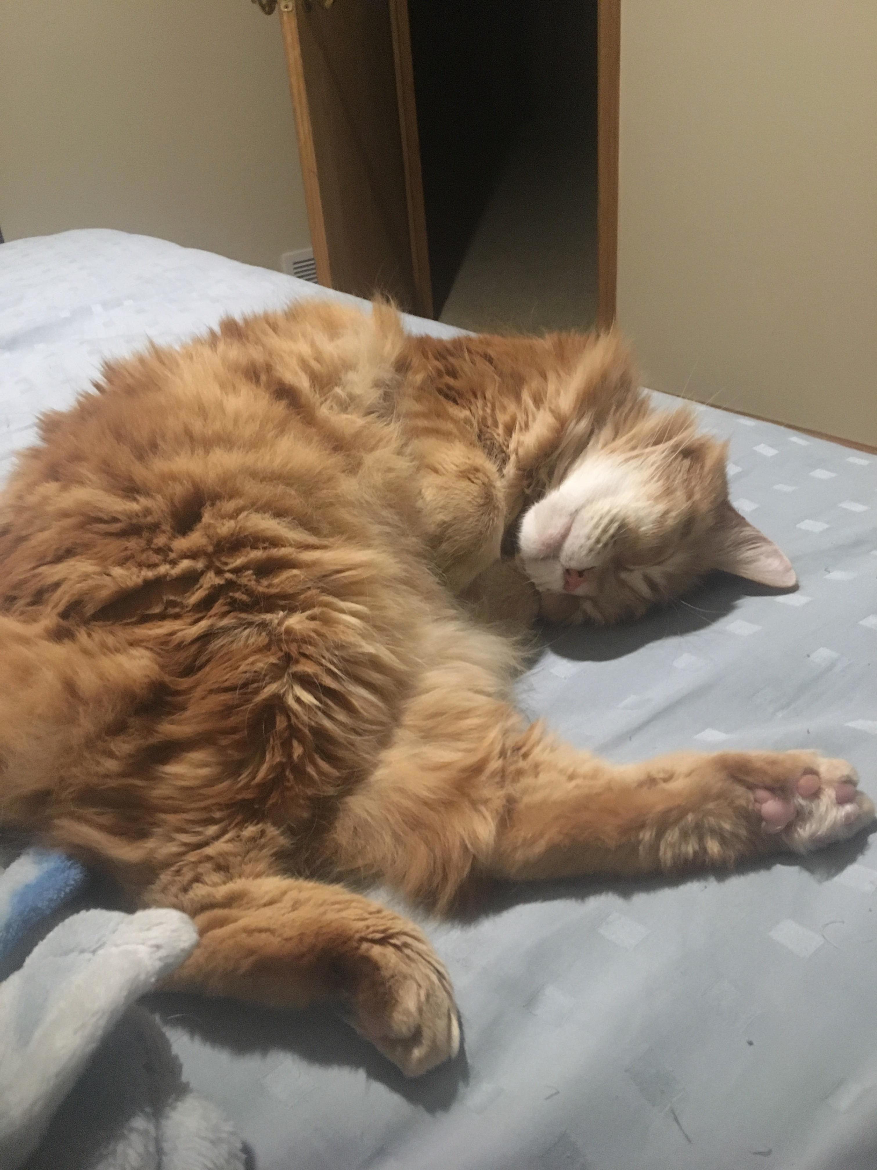 Hes Such a Sweet Boy 3
