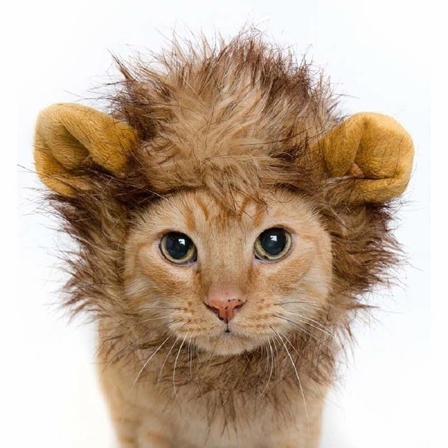 How Am I Looking
