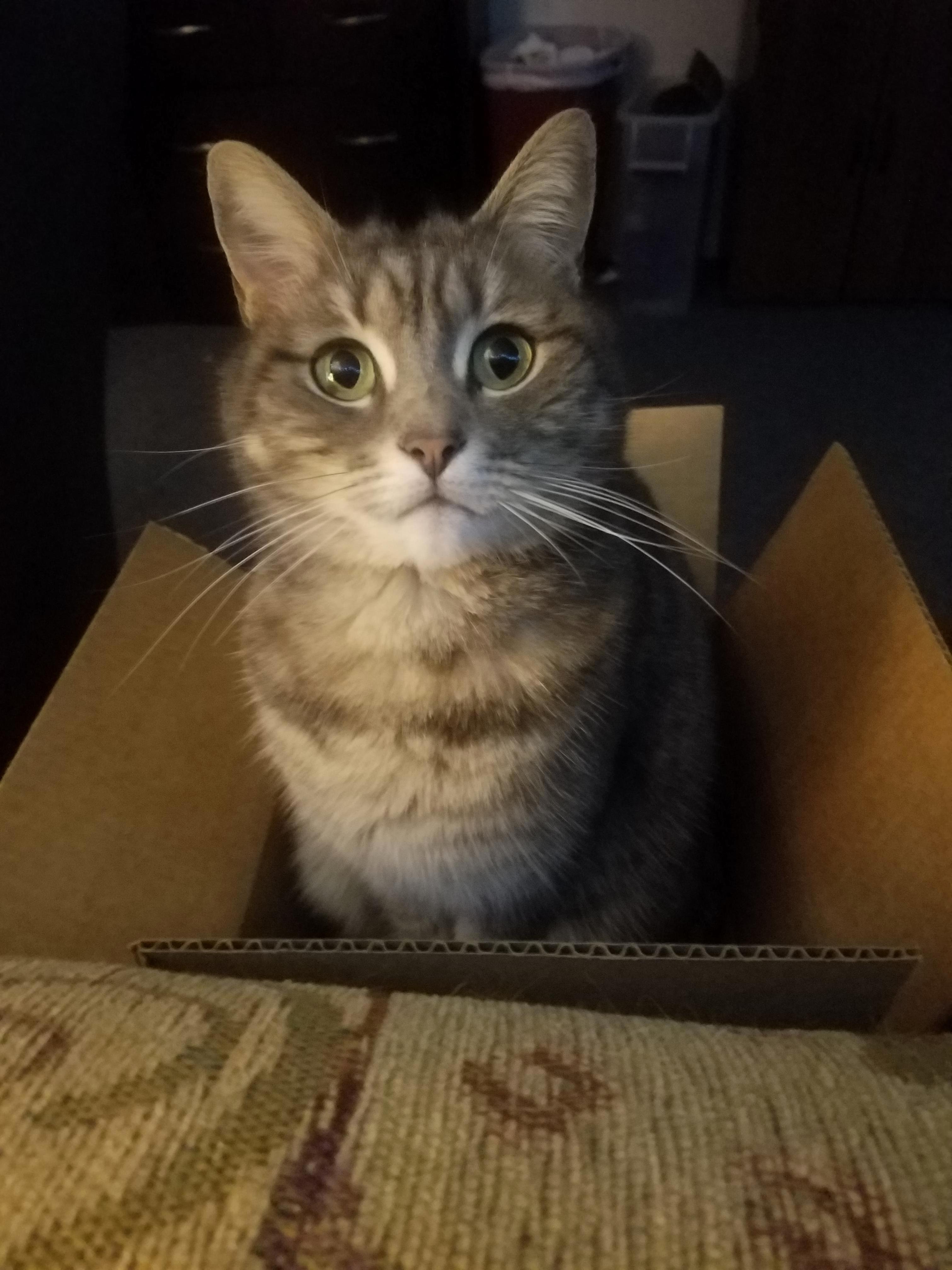 I Fits!