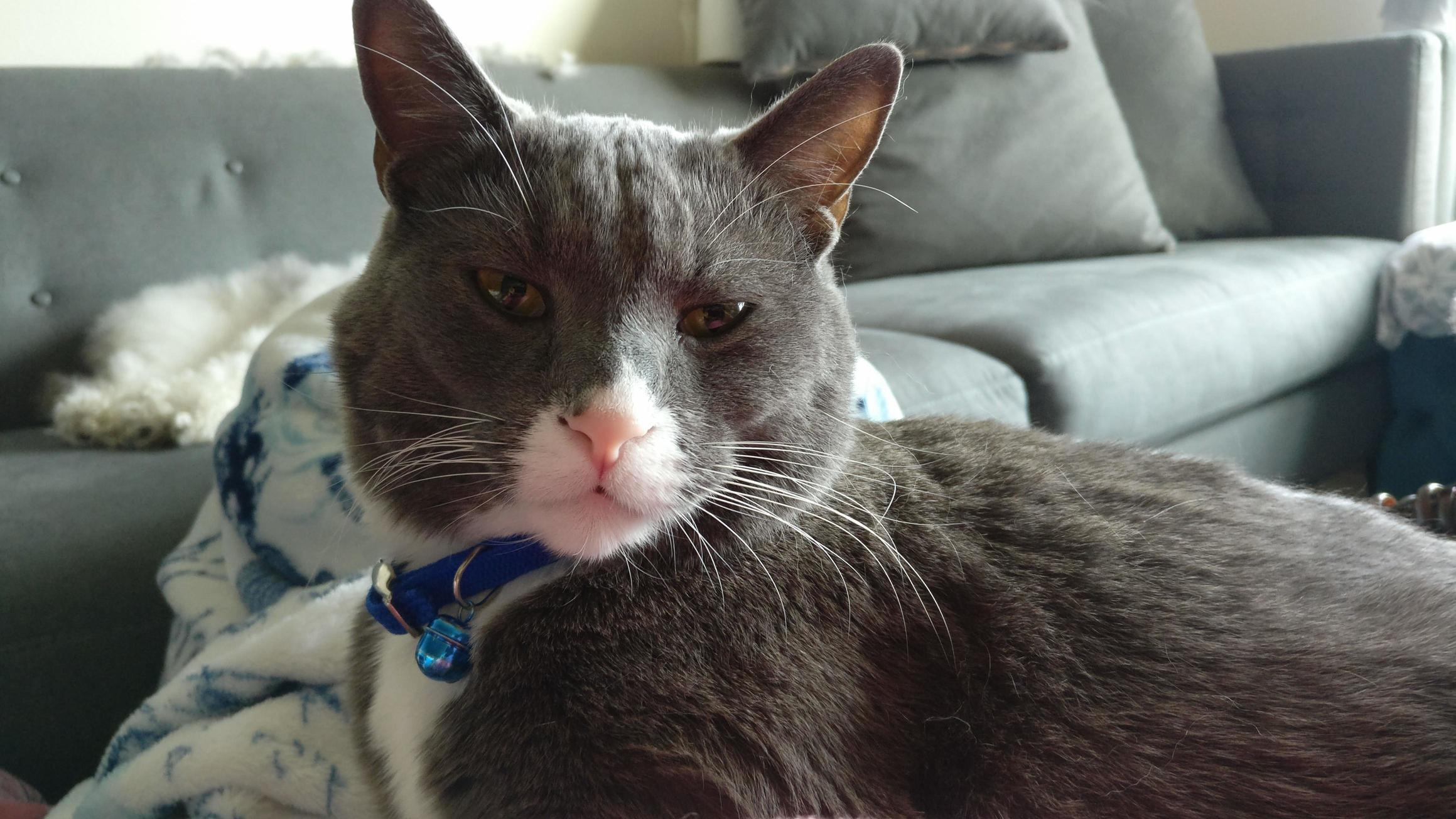 I Swear If He Could, He Would Take Selfies All Day.
