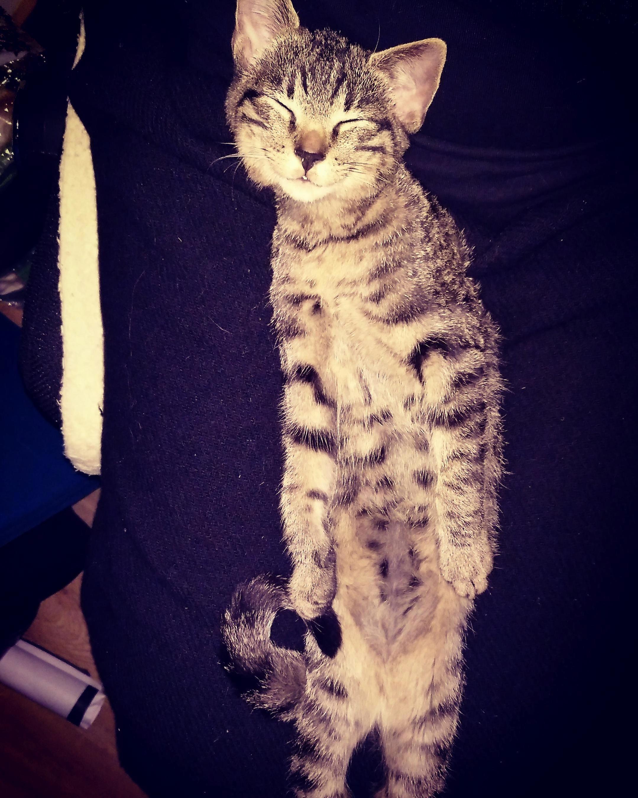 I Think He Used to Be a Buckingam Palace Guard, He Still Strikes the Pose Sometimes