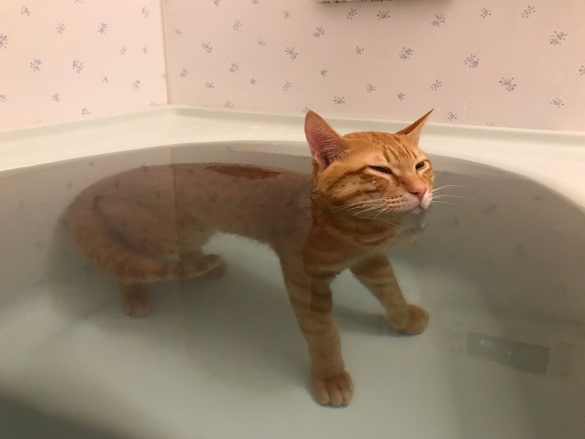 In a Spa...