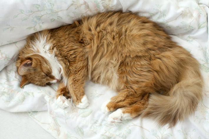 Its Time to Sleeping......