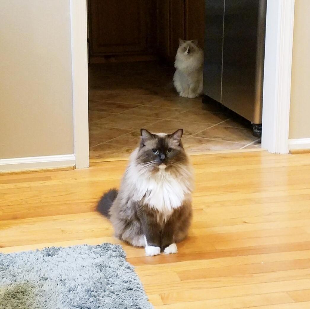Jealousy