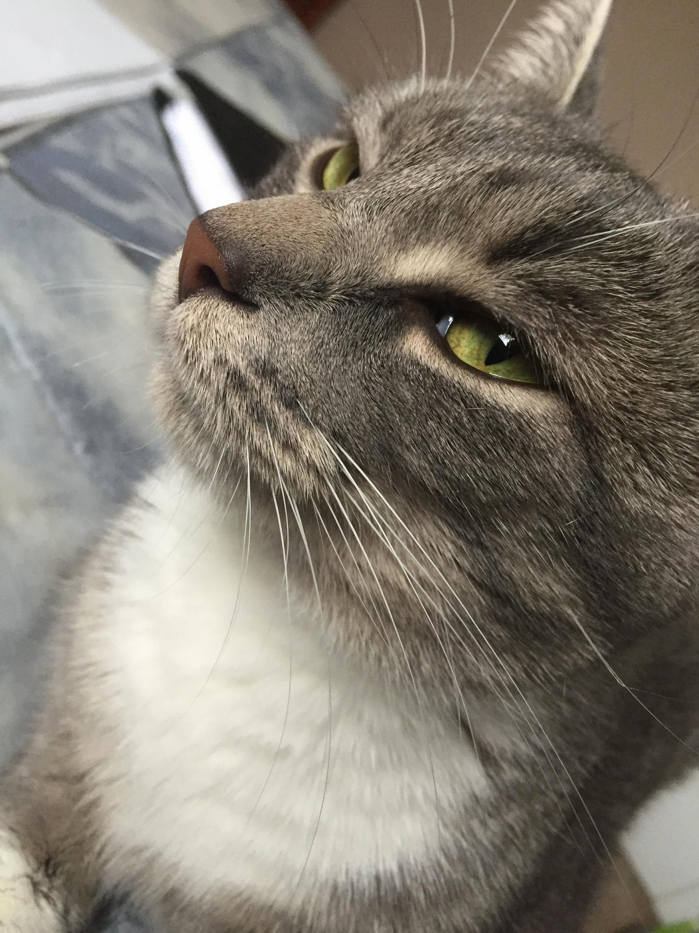 Judging Me