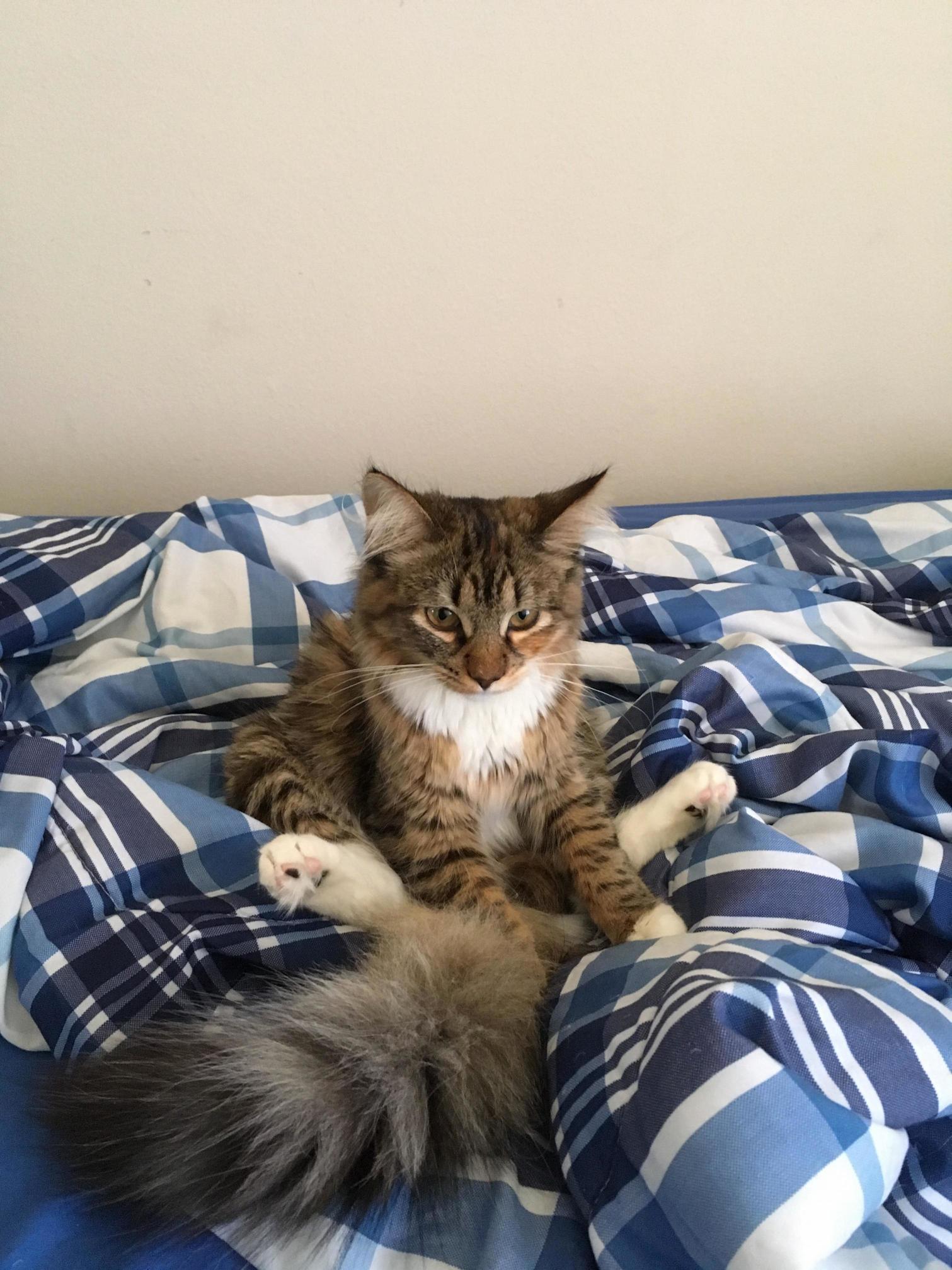 Little Miss Finally Found a Home!