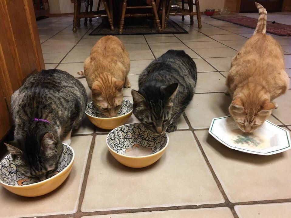 Meal Time Is Fun Time!