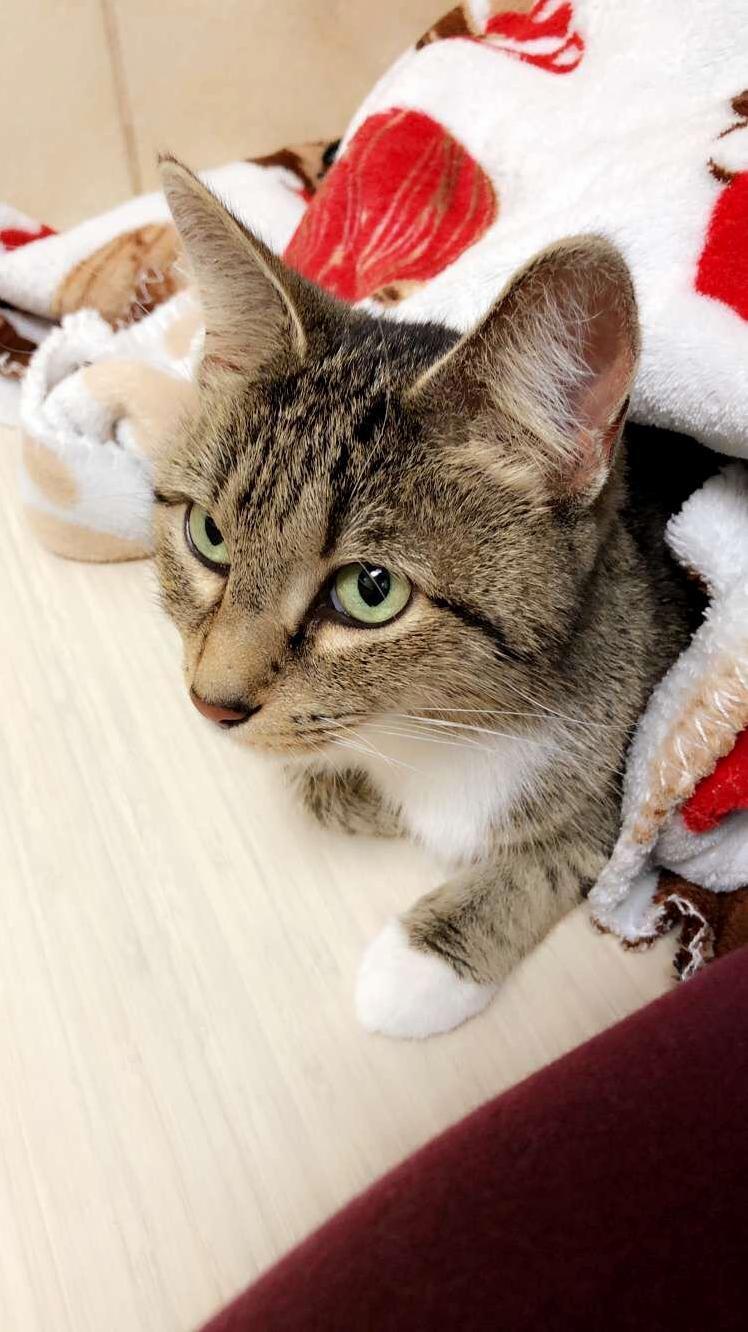 Meet Eva!