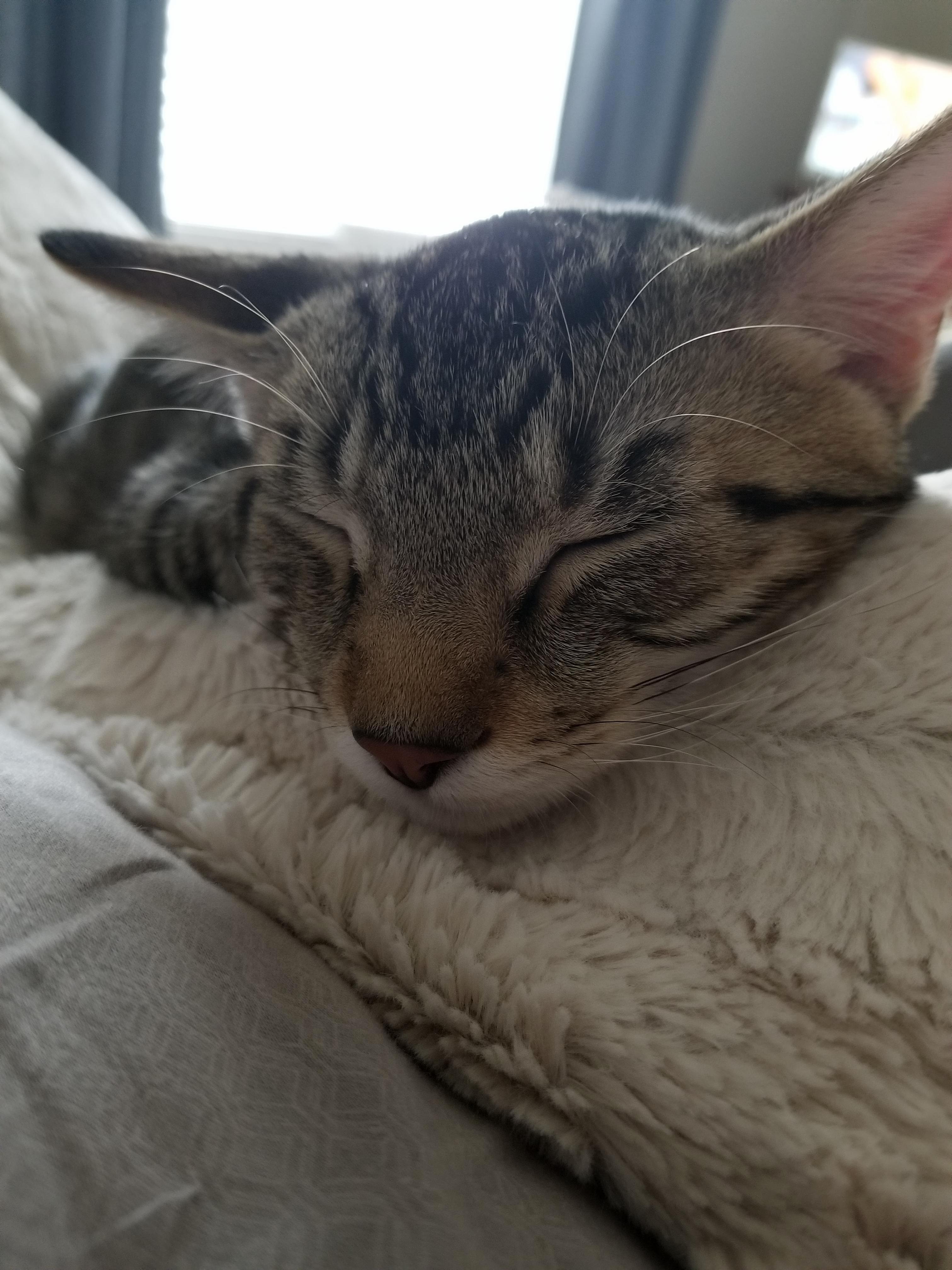 Mom Im Not Ready to Get Up!