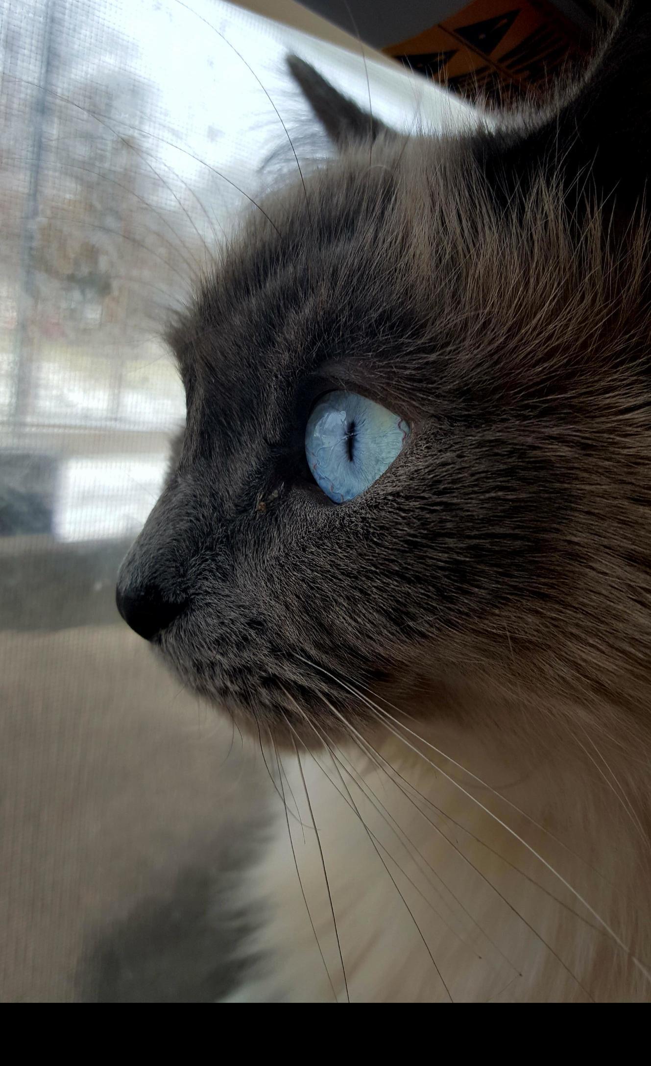My Baby Girl Bird Watching.