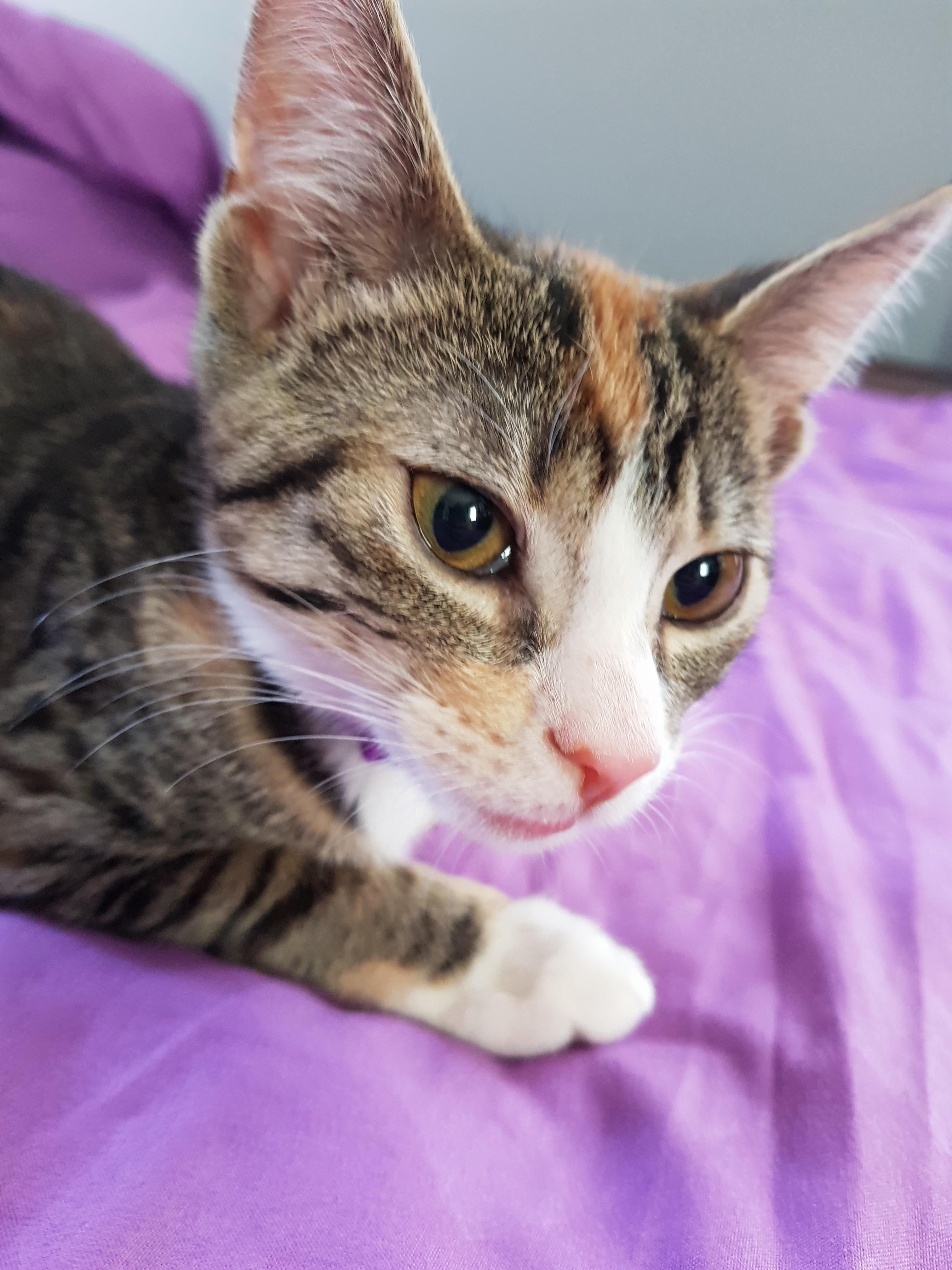 My Baby Girl Penny-wise