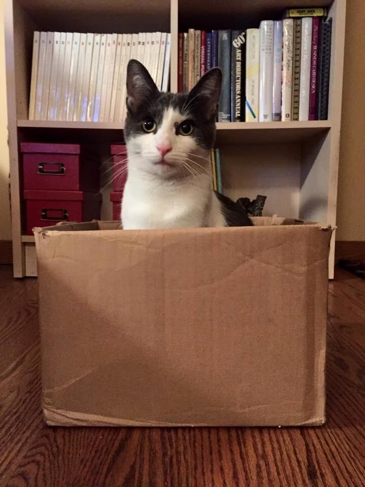 My Box
