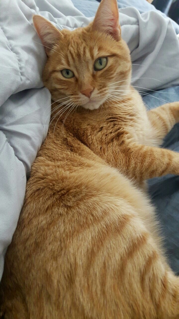 My Everything Is in Critical Condition and Going Into Surgery in the Next Few Hours. Ive Never Needed Positive Vibes and Prayers More Than I Do Now. Please Come Back to Me.