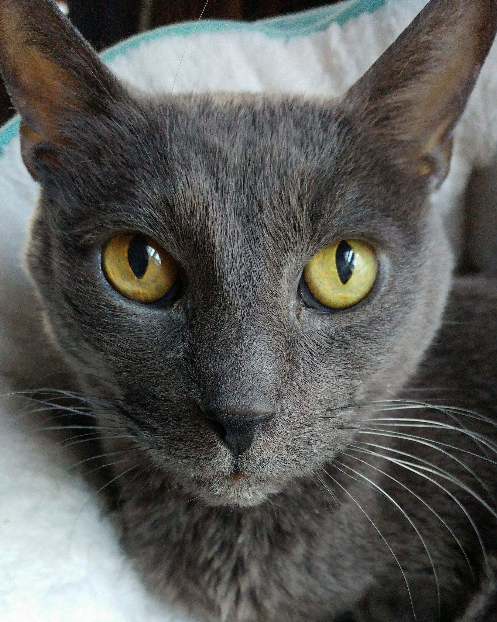 My Handsome 17 Year Old