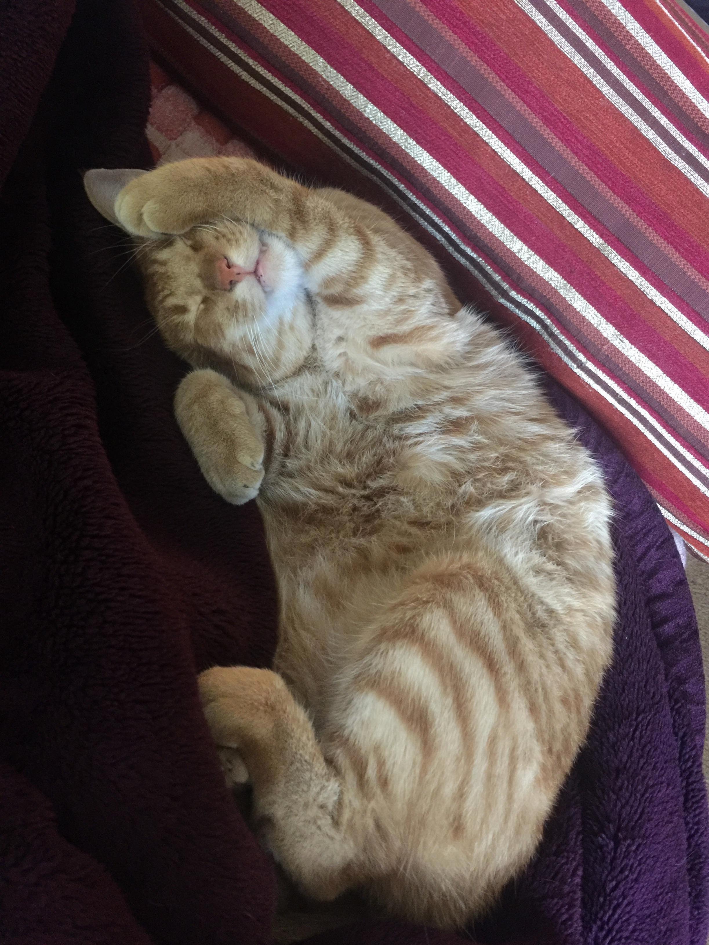 My Lil Baby, Leo