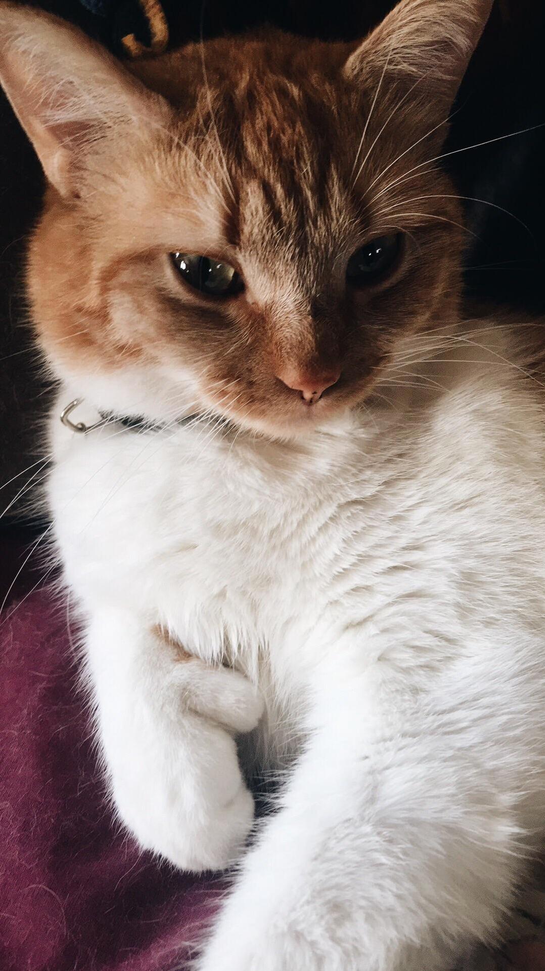 My Sweet Willow! One Day She Will Rule the World with Those Thumbs