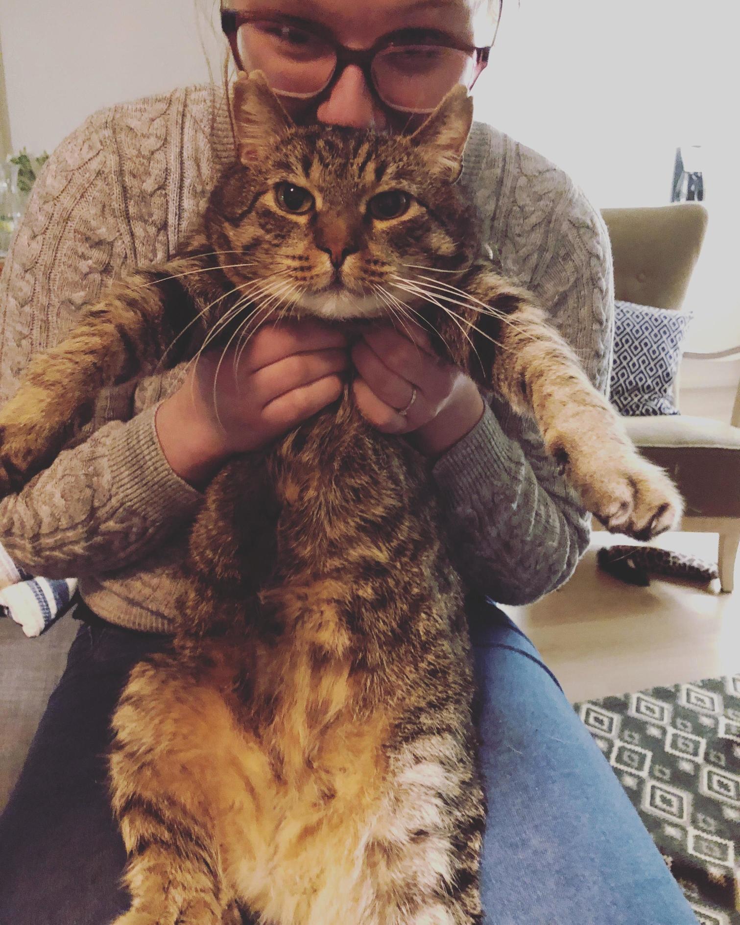 Our Rescue Being Super Unenthusiastic About Cuddles.