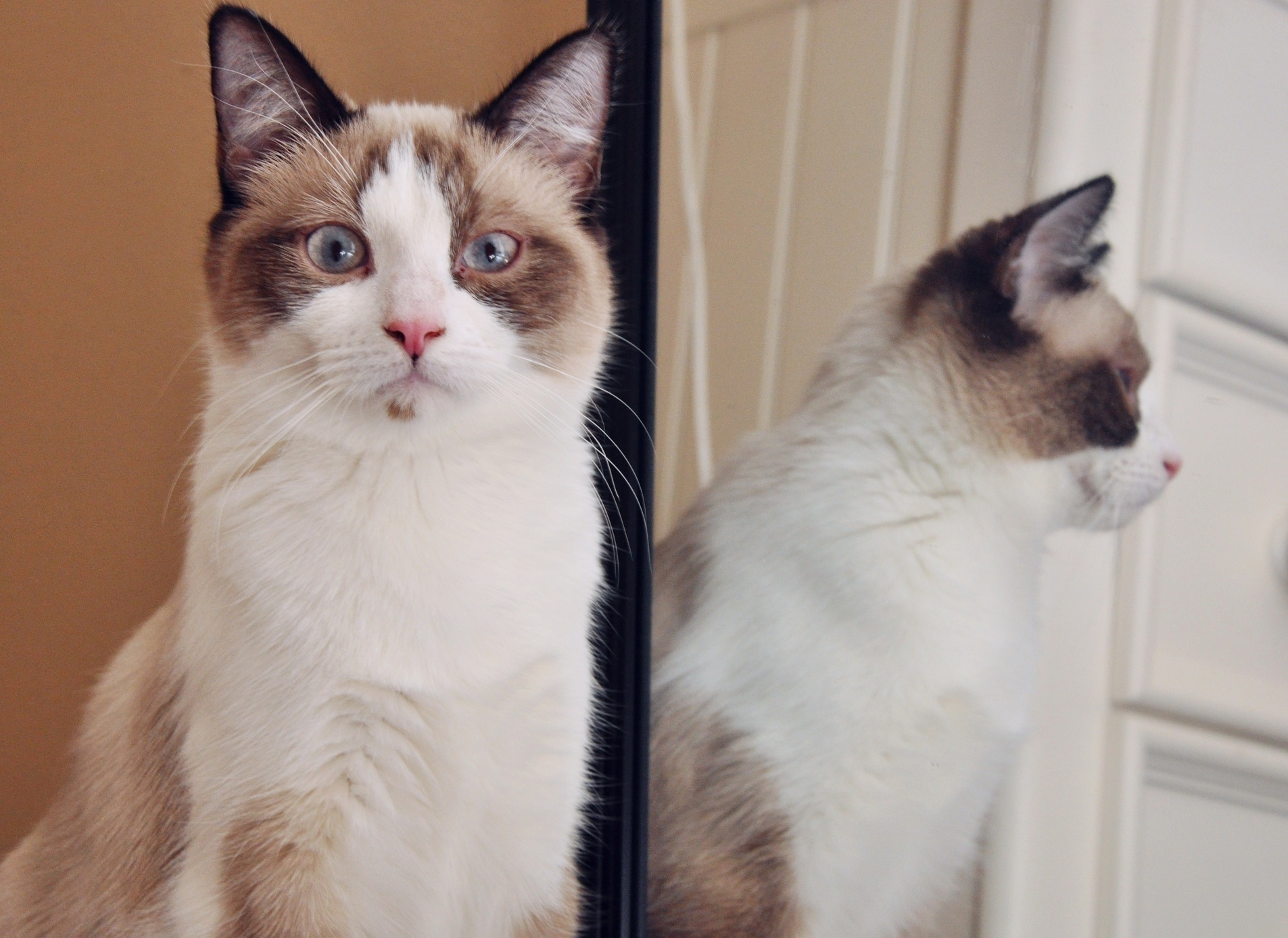 Penny Saw Her Reflection for the First Time