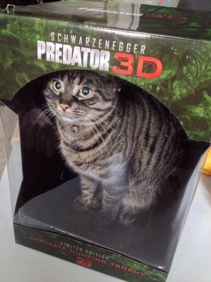 Precatdator