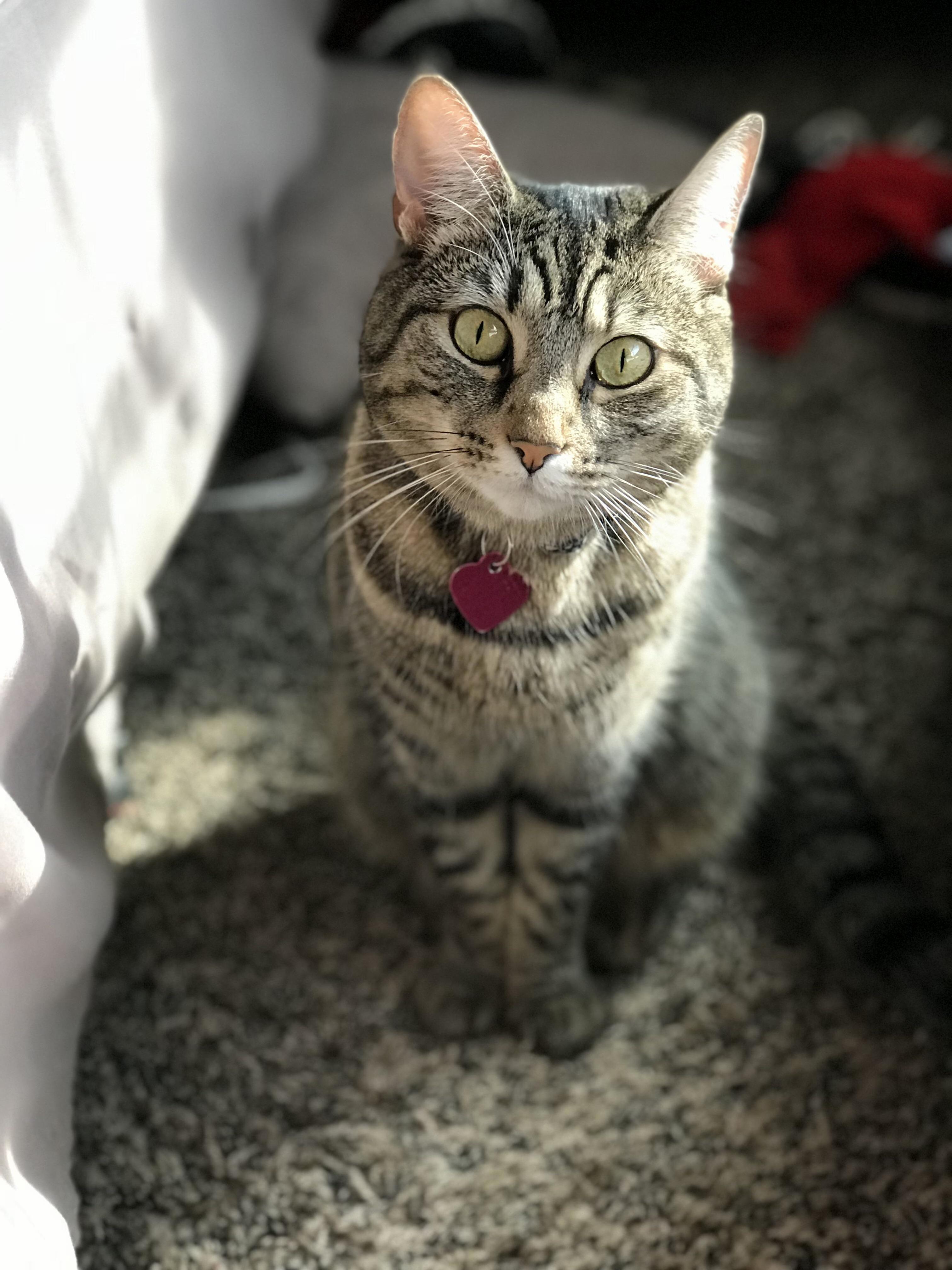 Princess Mushi