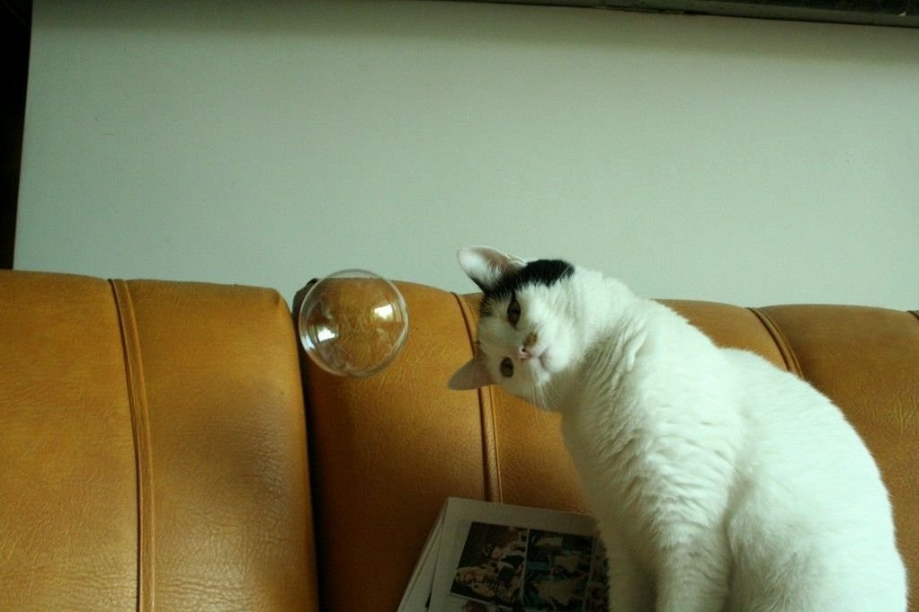 Puzzling