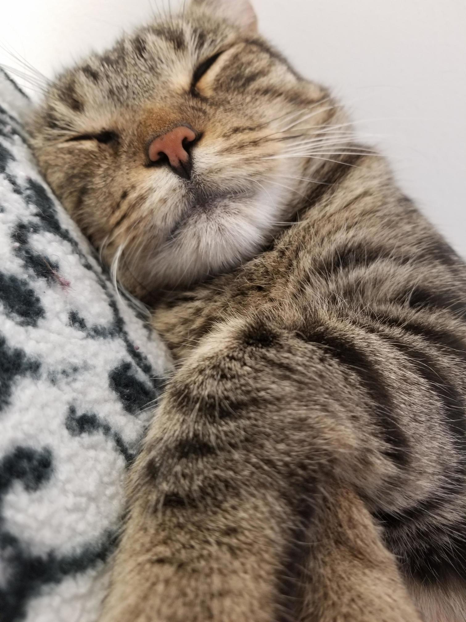 Rare Moment Where He Is Not Grumpy. Edgar