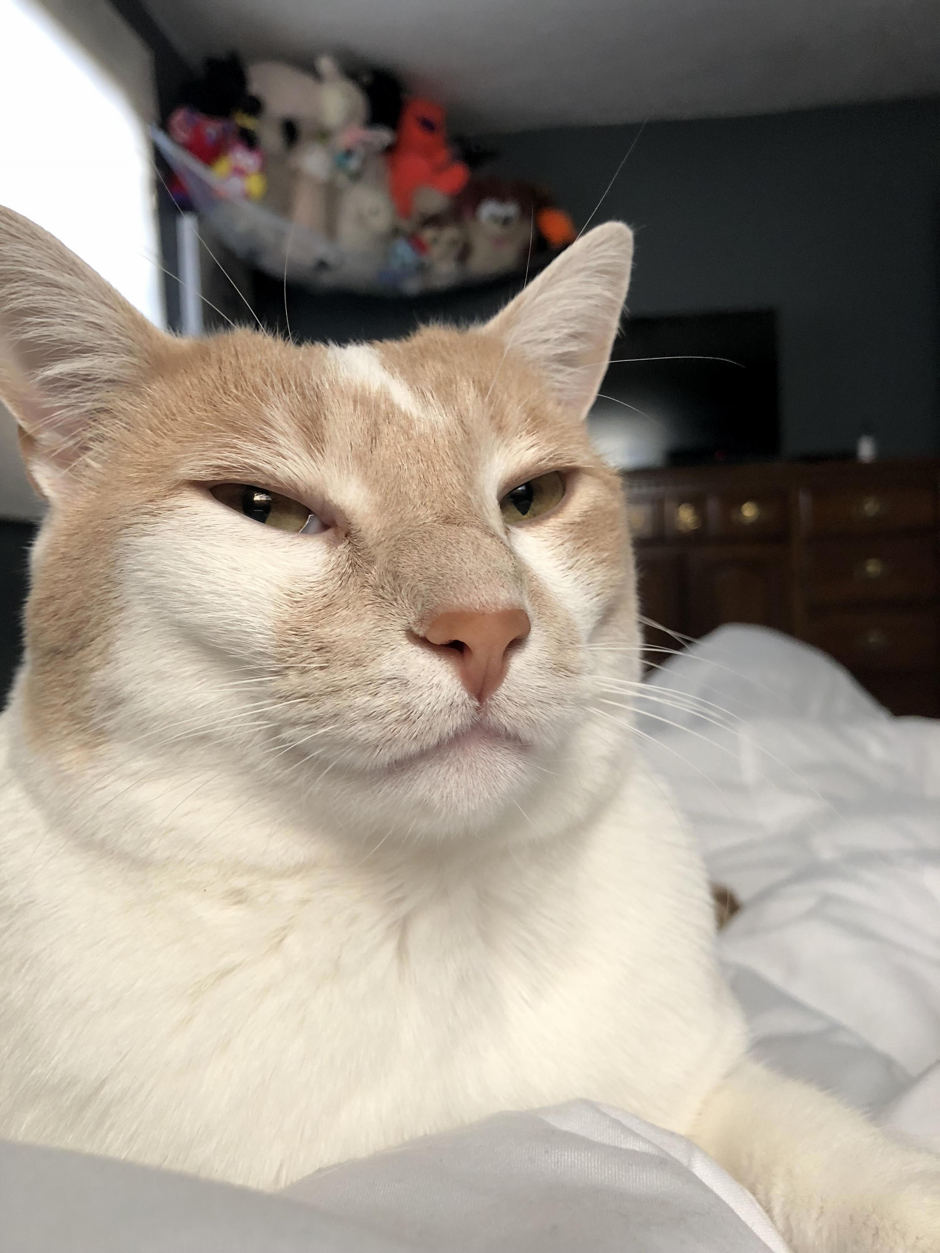 Really Are You Taking Another Picture of Me
