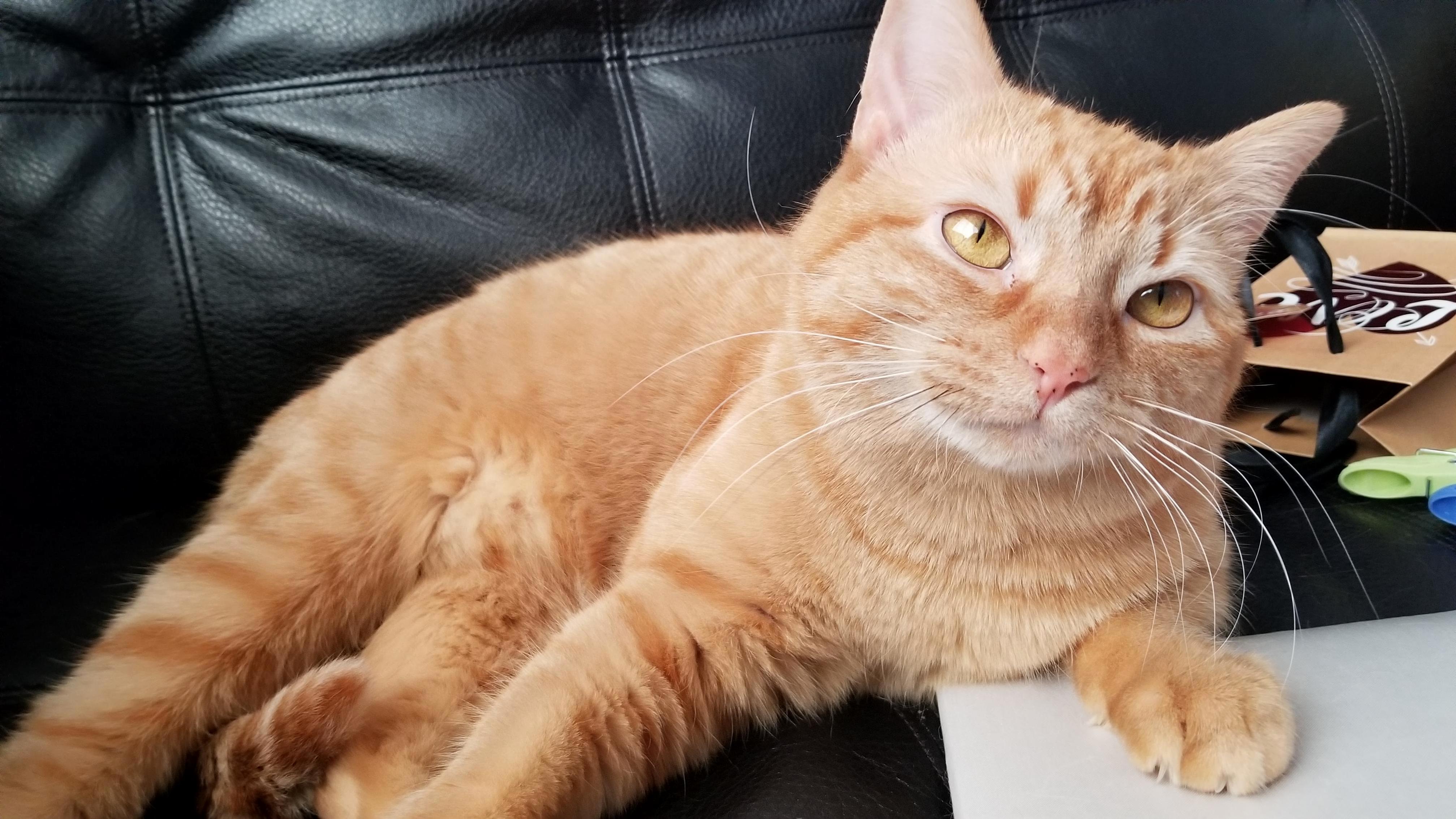 Reddit Meet Charlie.