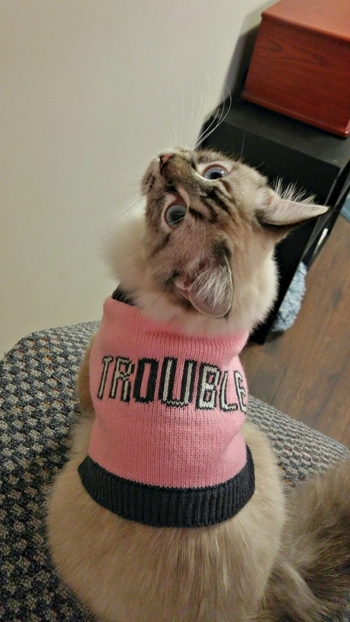 Saw This Sweater and Had to Buy It for Her Because My Dad Calls Her a Hooligan When We Visit