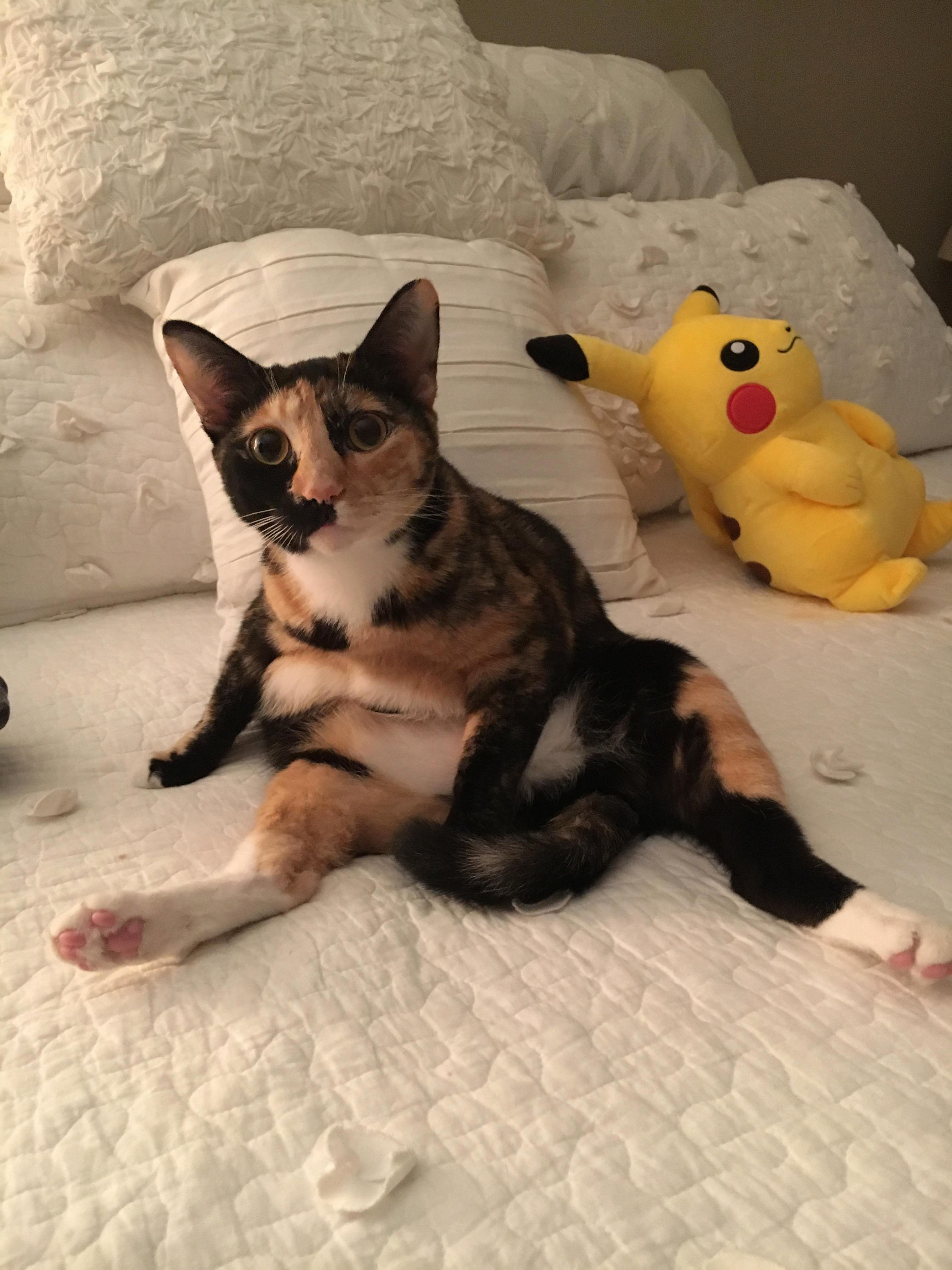 She Always Sits Like a Lady.