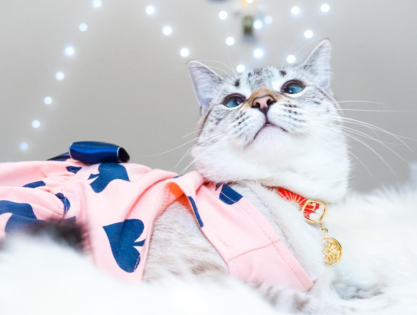She Can Be So Prissy Sometimes