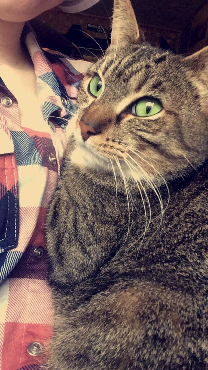 She Cuddles with Me Occasionally When It Suits Her
