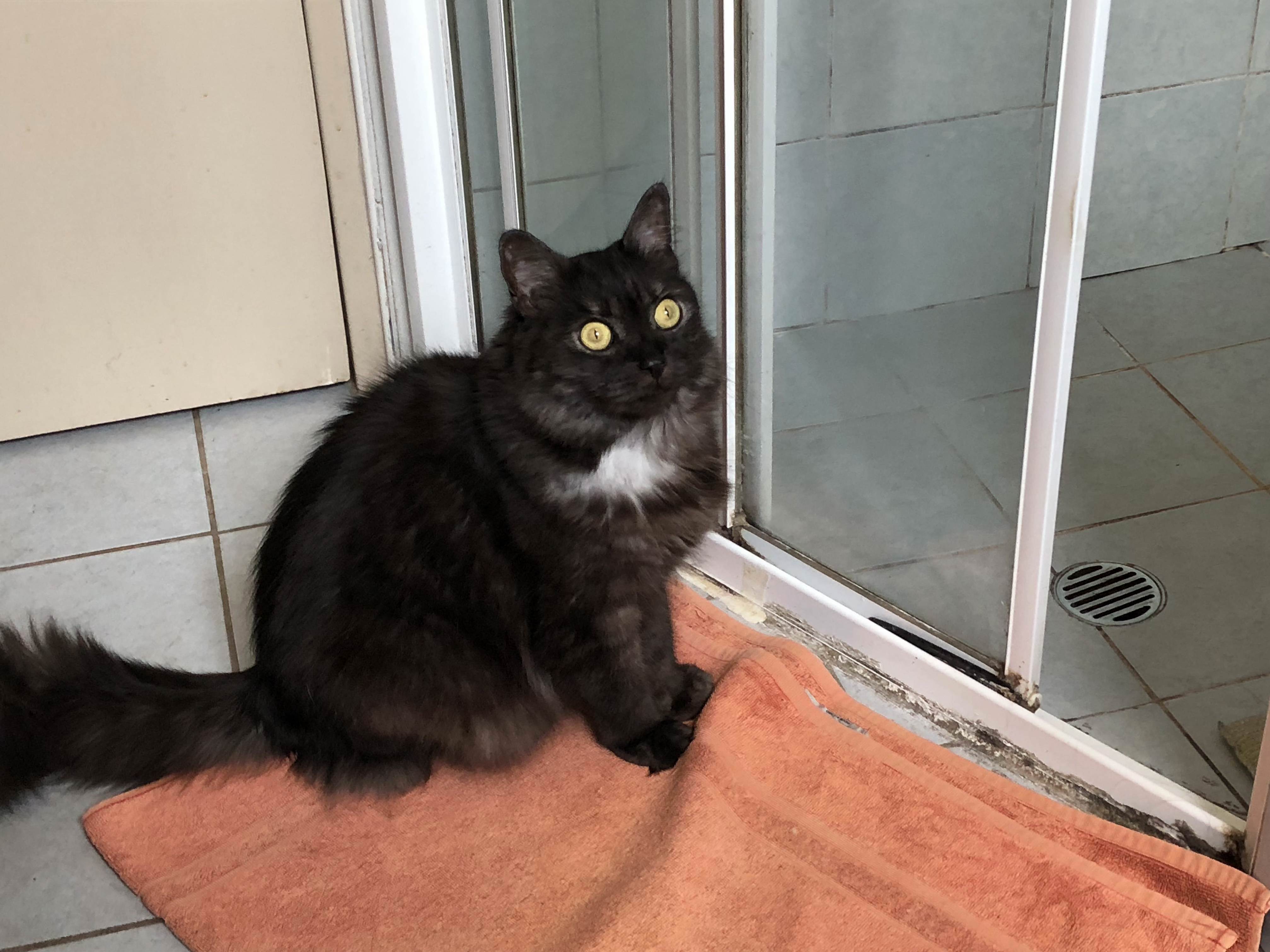 She Heard a Noise Outside