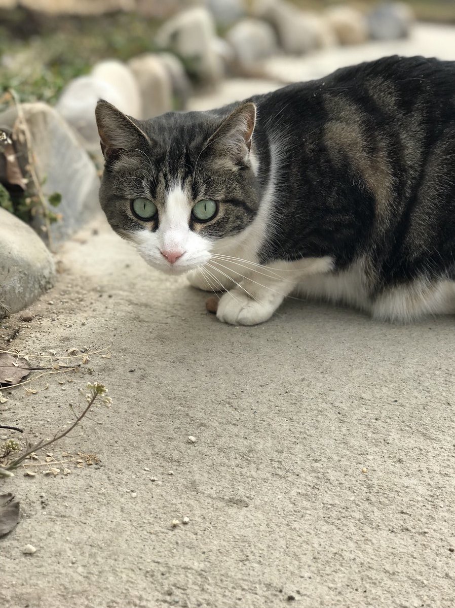 She Loves to Go Outside and Roll in the Dirt