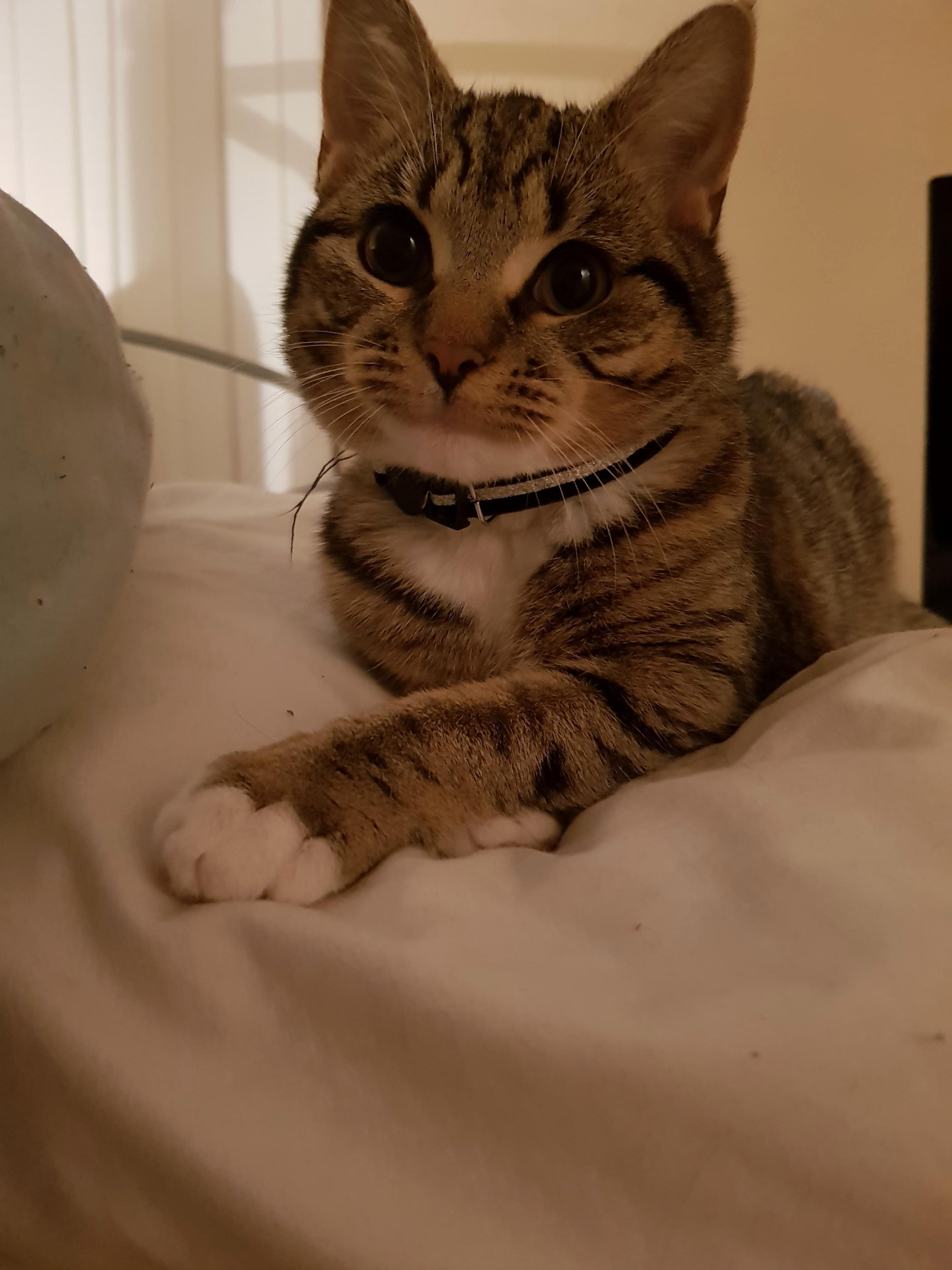 She Loves to Pose.