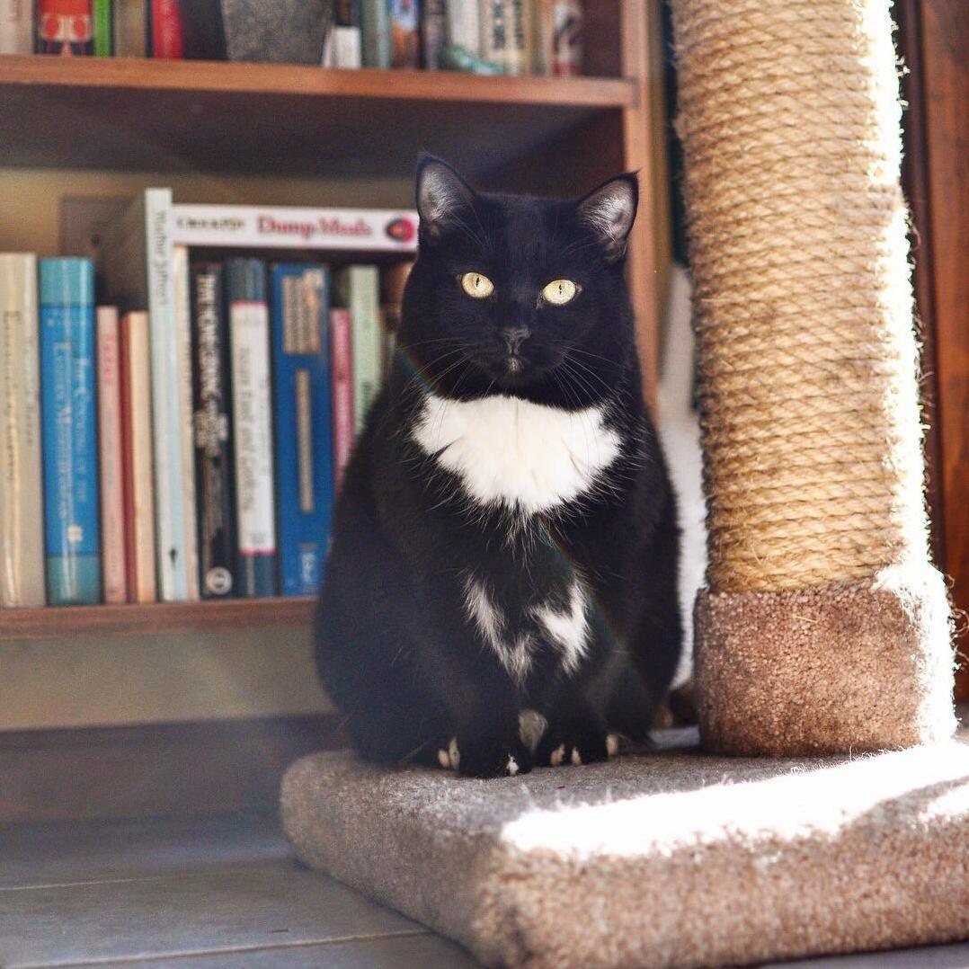 She Was Born in a Garbage Can During Hurricane Irene in 2011