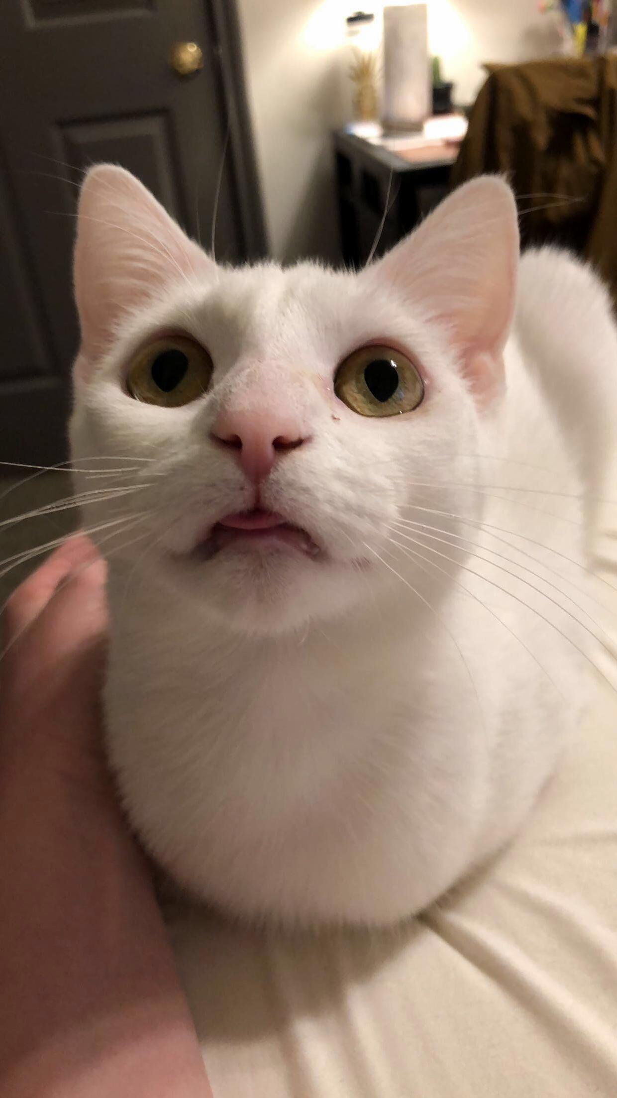 Shes Weird, but I Love Her.
