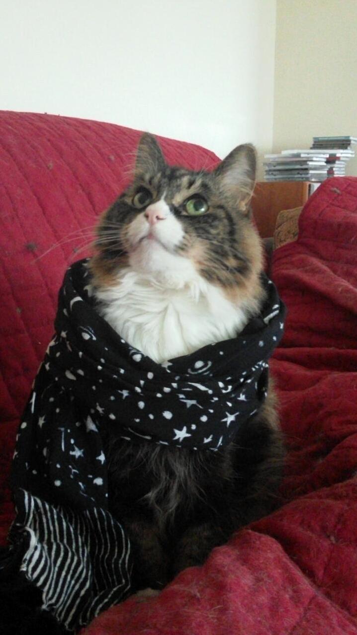 Slippers Is 19 This Month and Still Looking Pretty