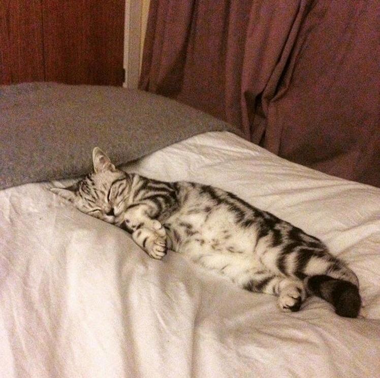 Snow Day for Olympe.