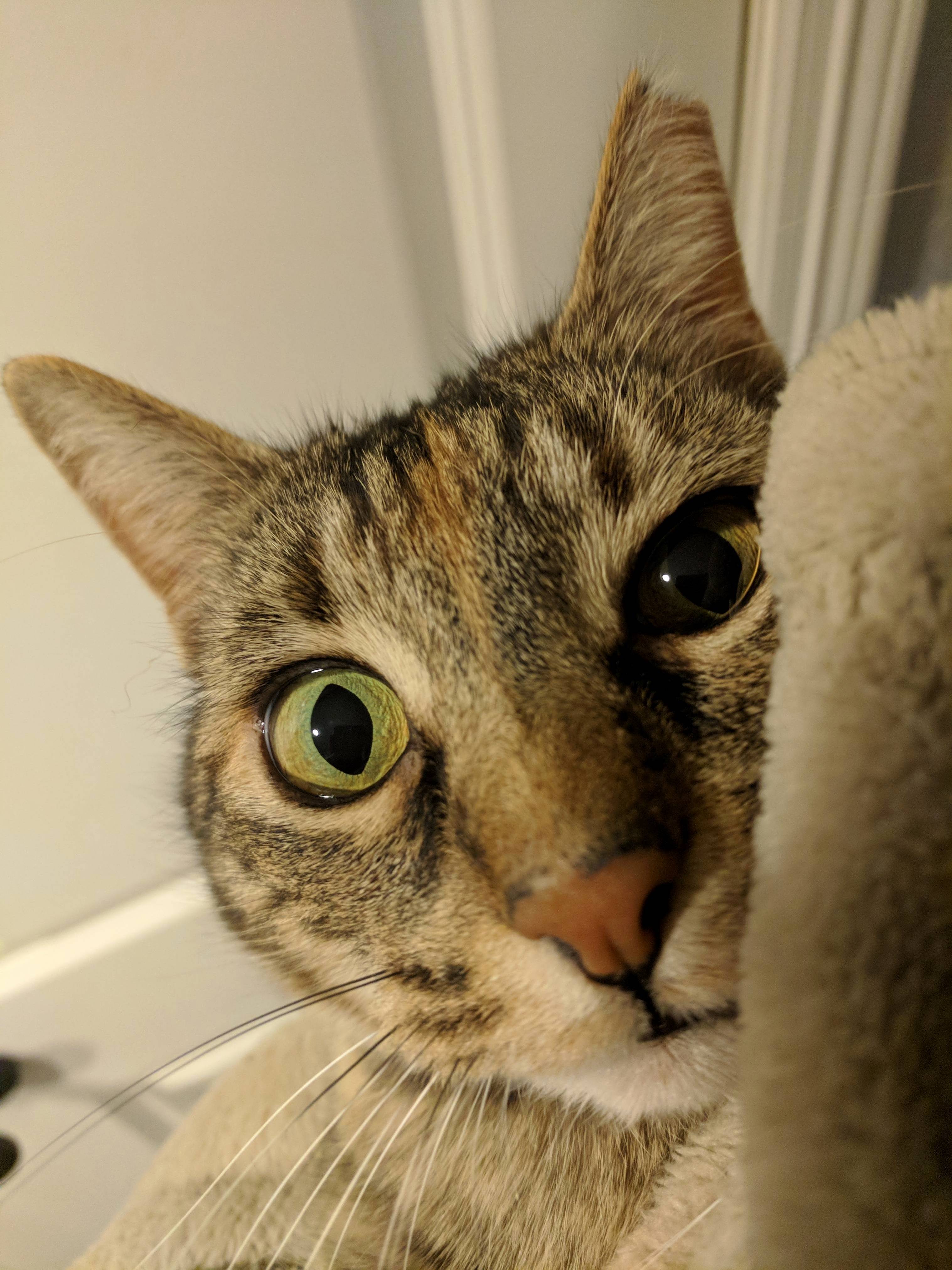 Snuggling
