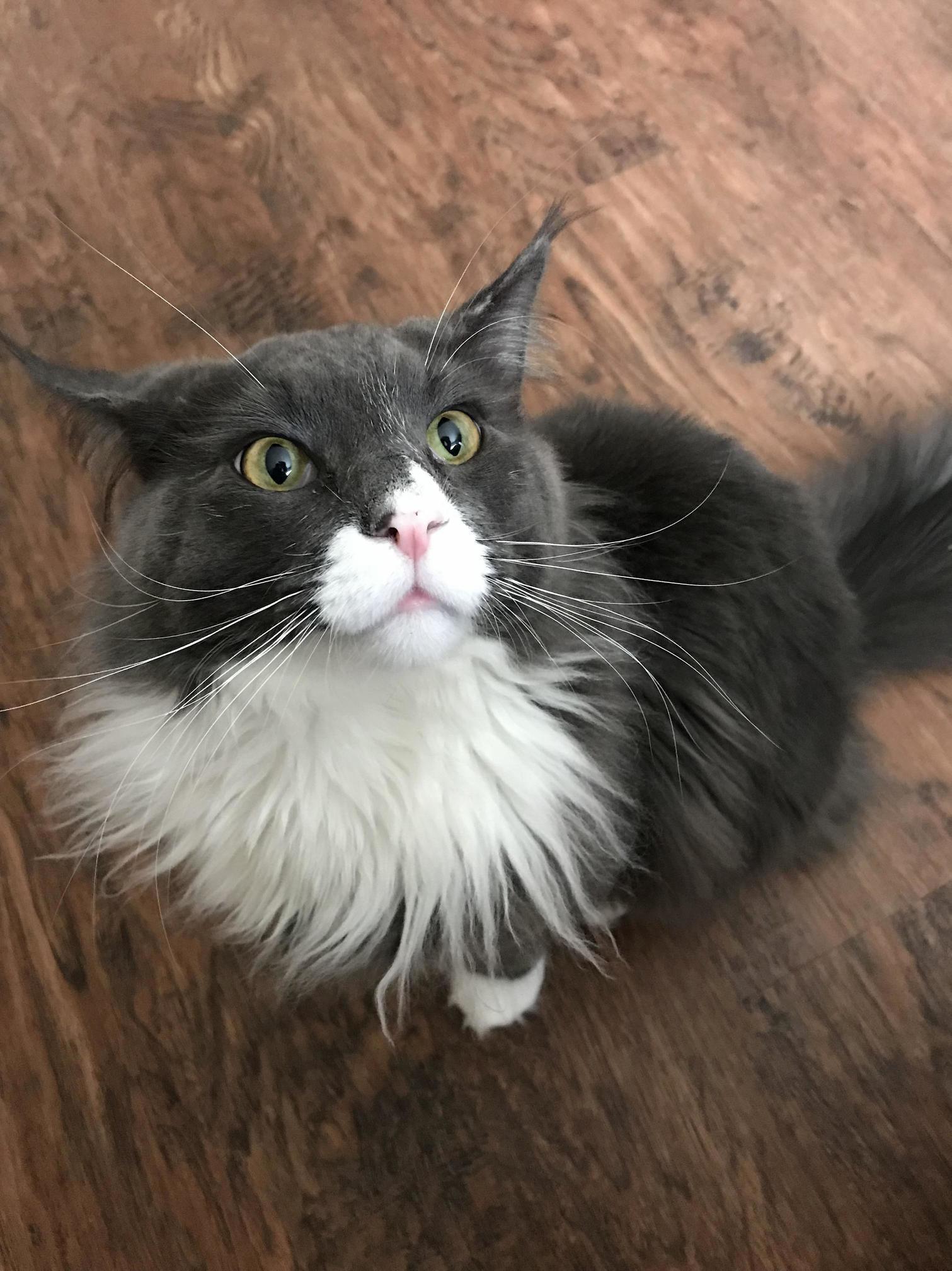 So Handsome!