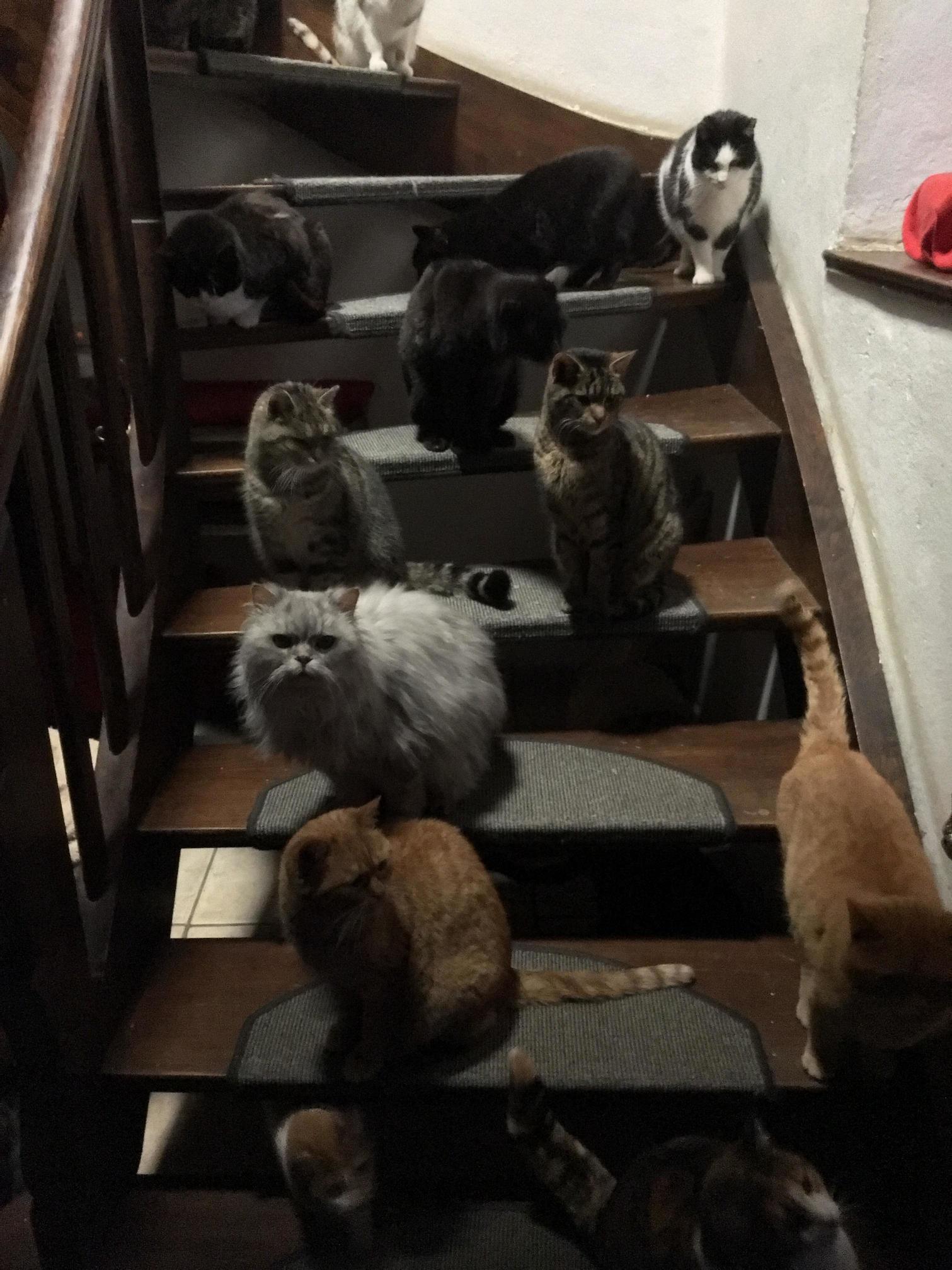 So.. I Need to Go Up.