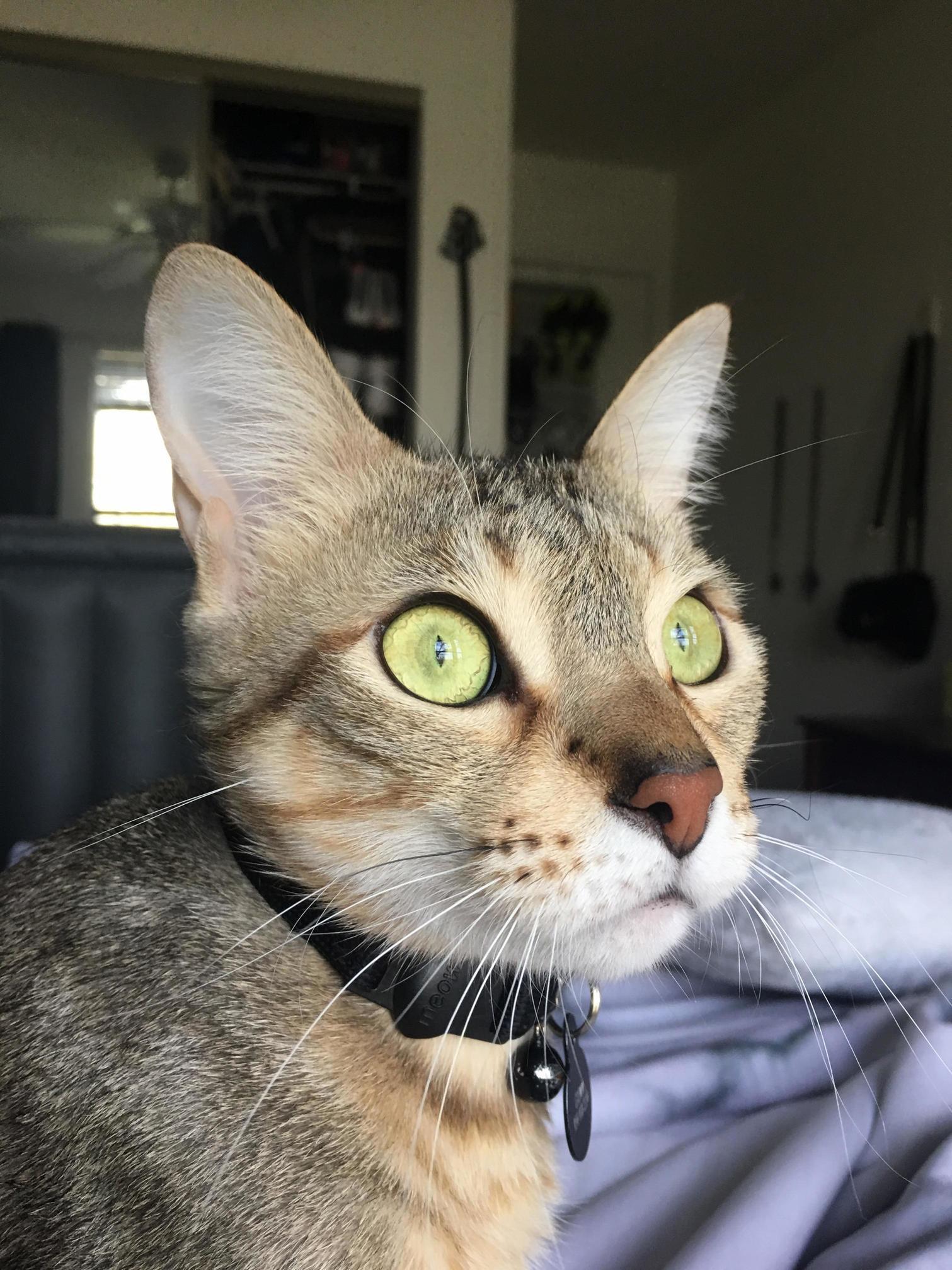 Squiggly Eyes