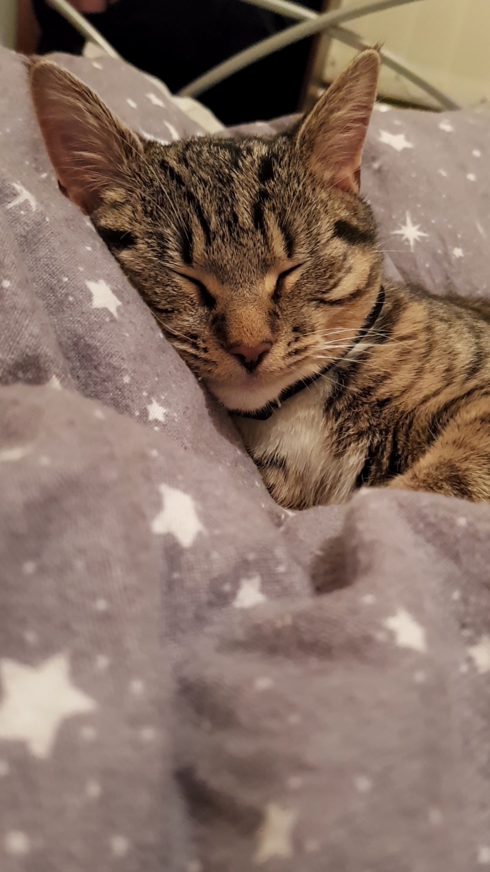 Sweet Dreams.